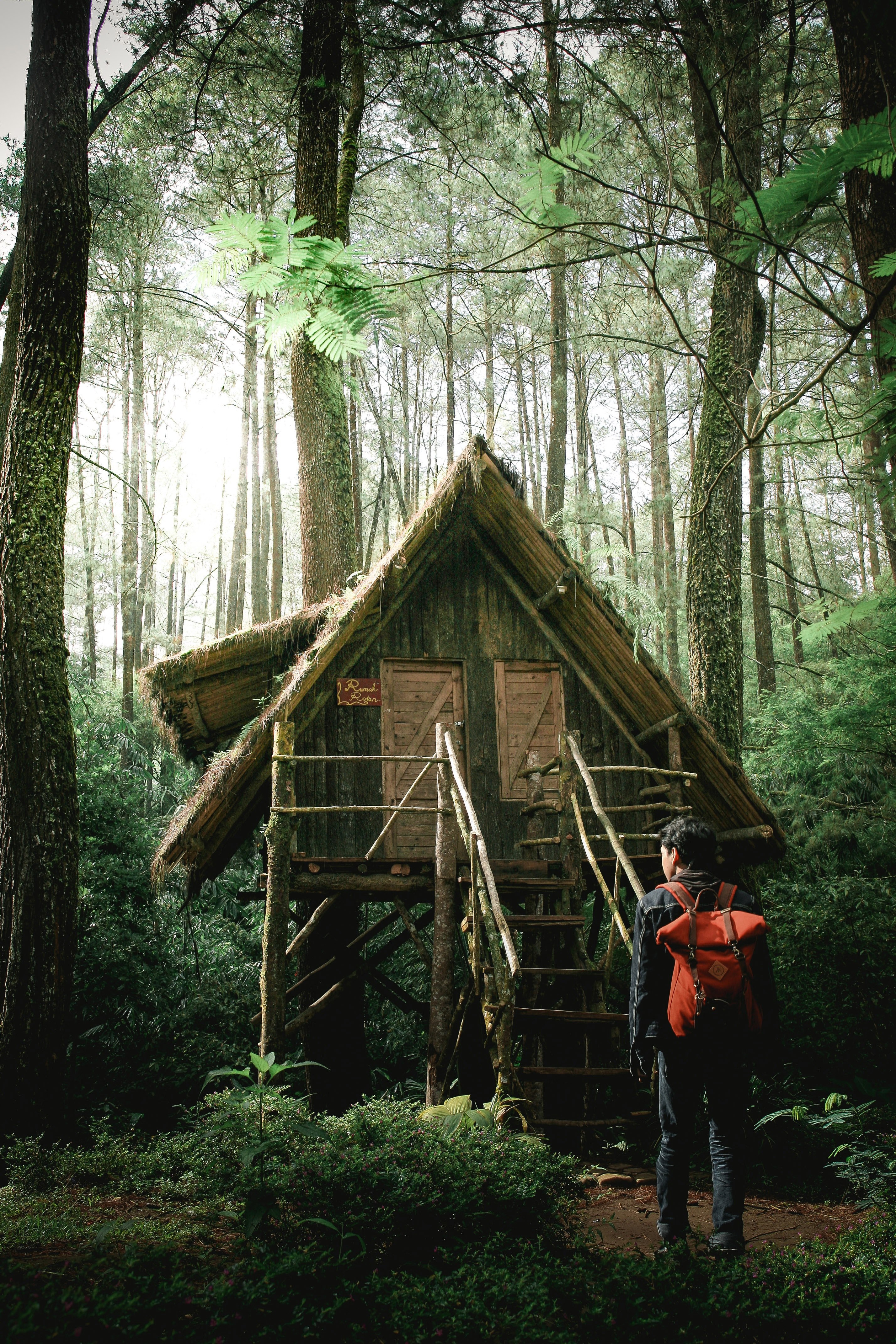 lets get lost 4k, Phone HD Wallpaper