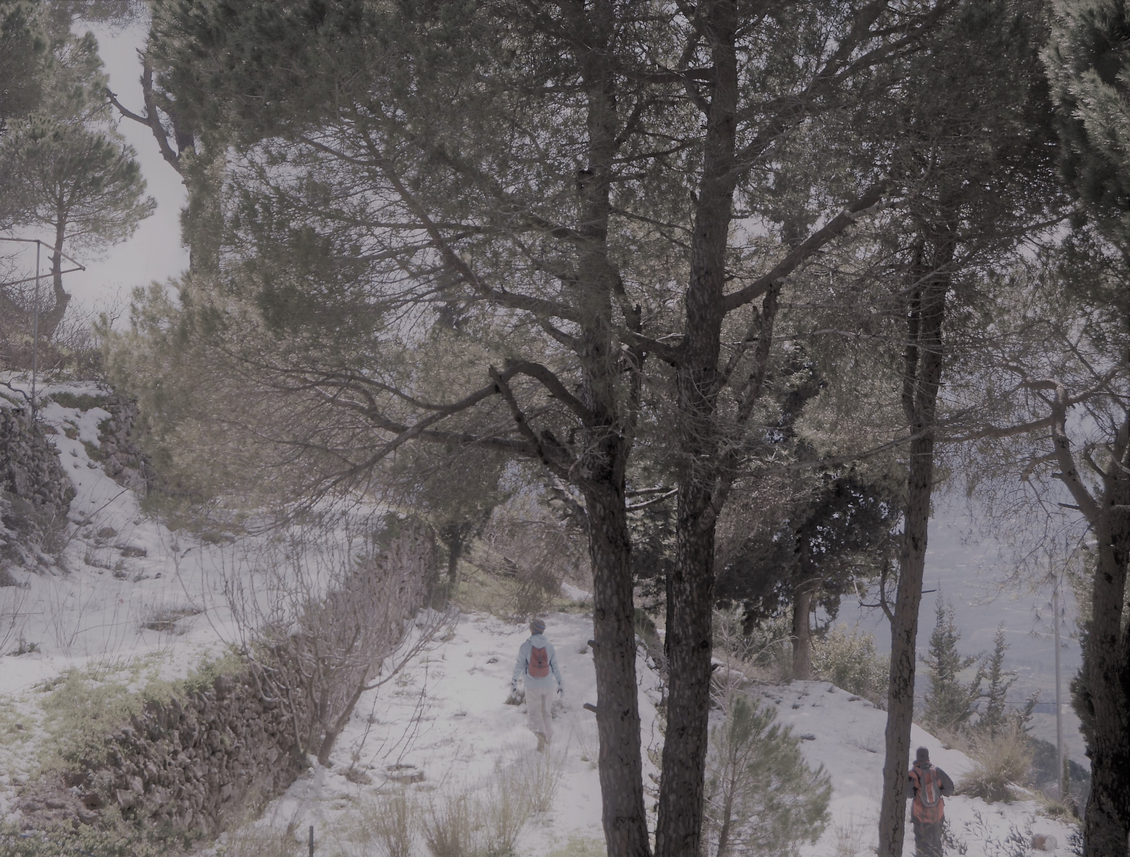 keep walking you will reach there 4k, HD Wallpaper