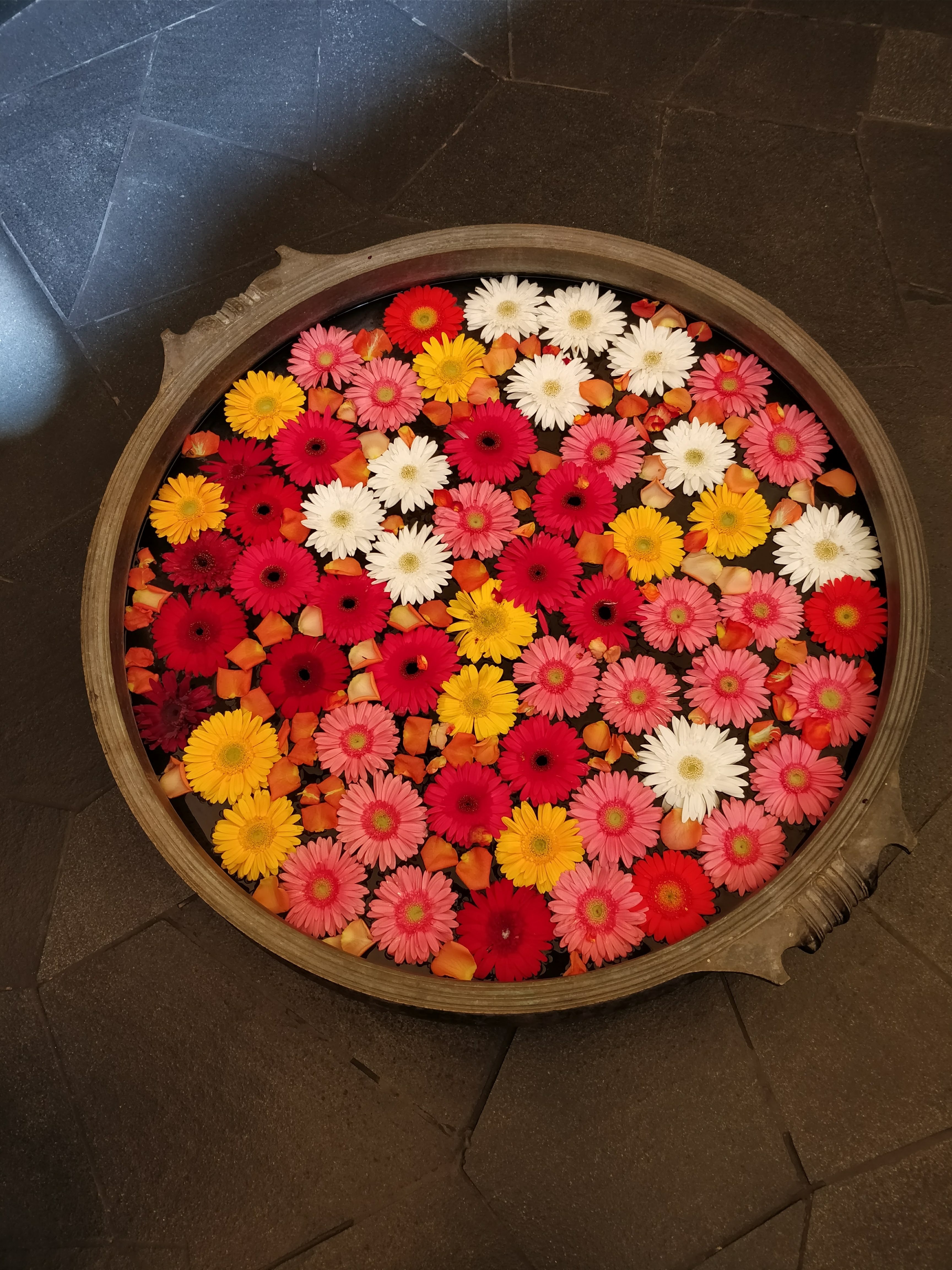 flowers in a bowl 4k, Phone HD Wallpaper