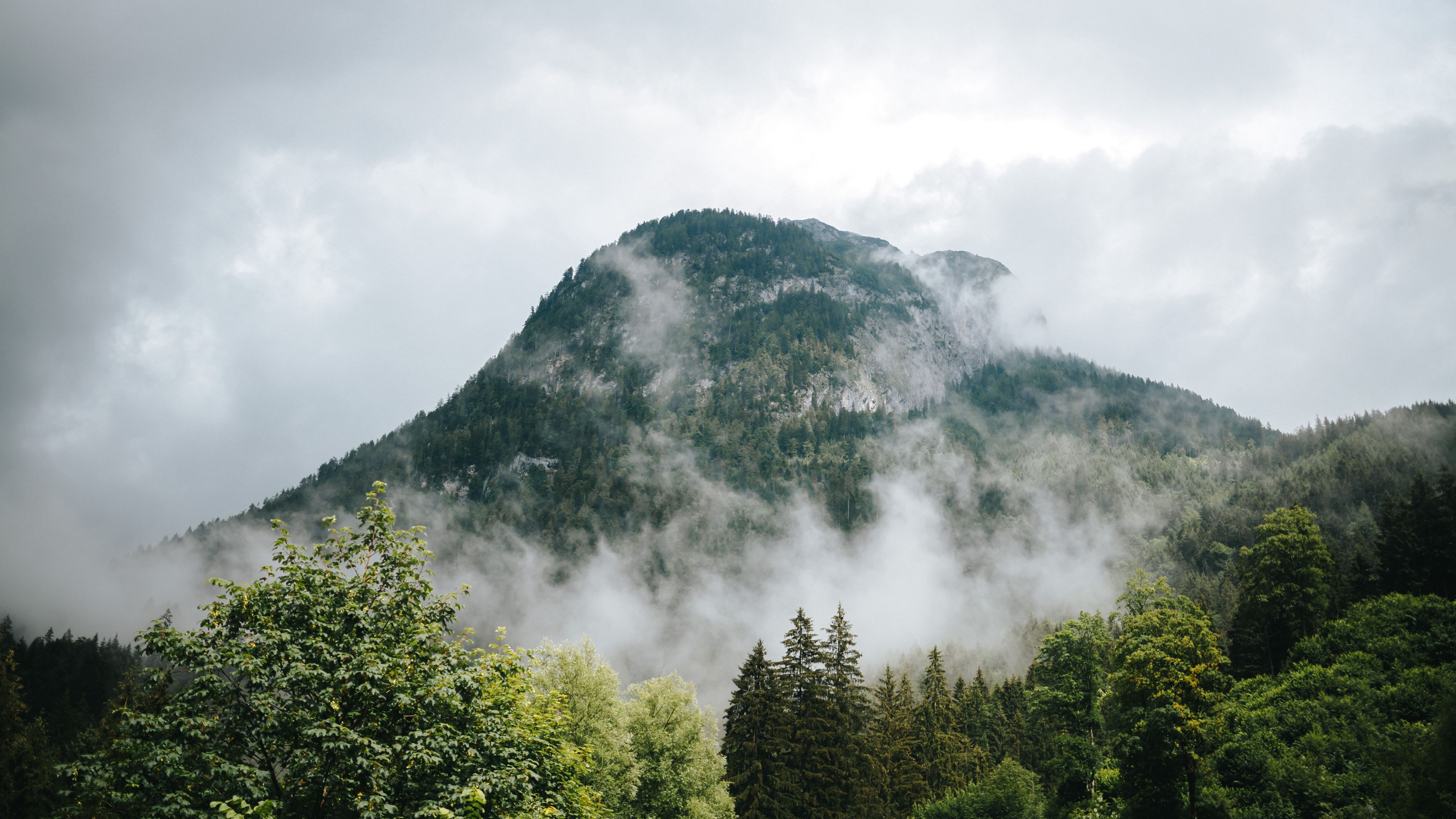 mountains, fog, forest, trees, 4k, HD Wallpaper