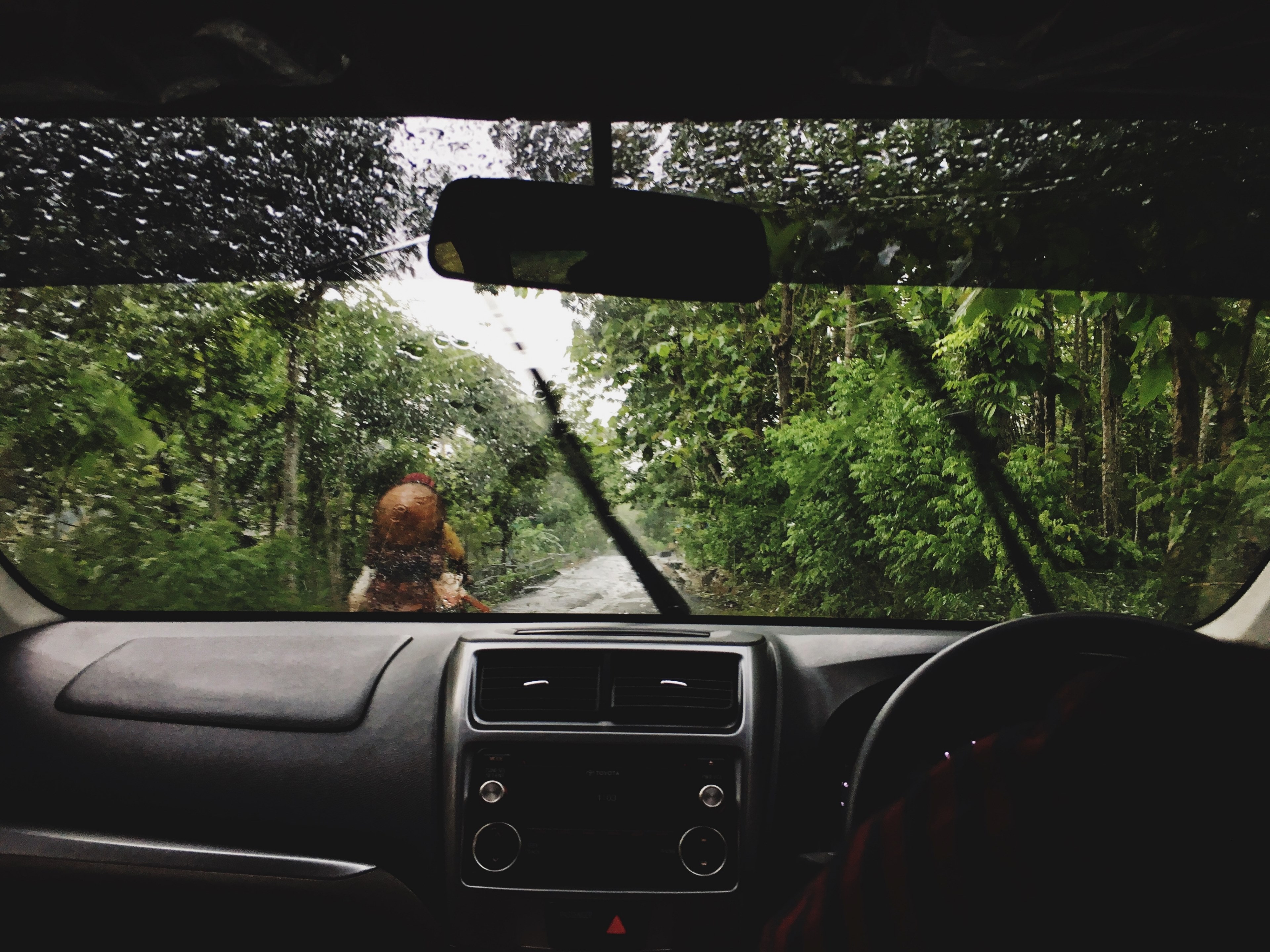 car vehicle windscreen and tree 4k, HD Wallpaper