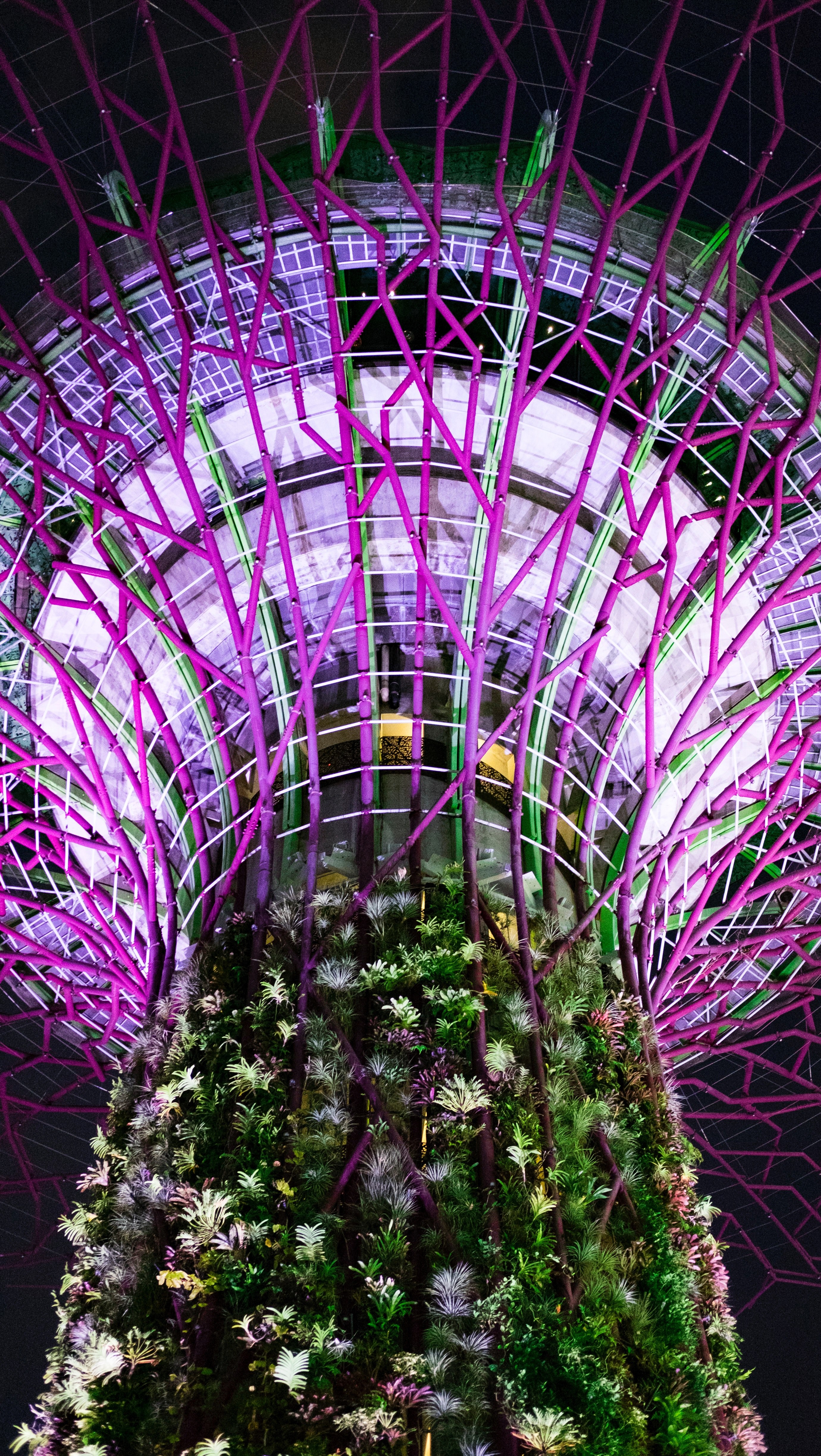 gardens by the bay 4k, Phone HD Wallpaper