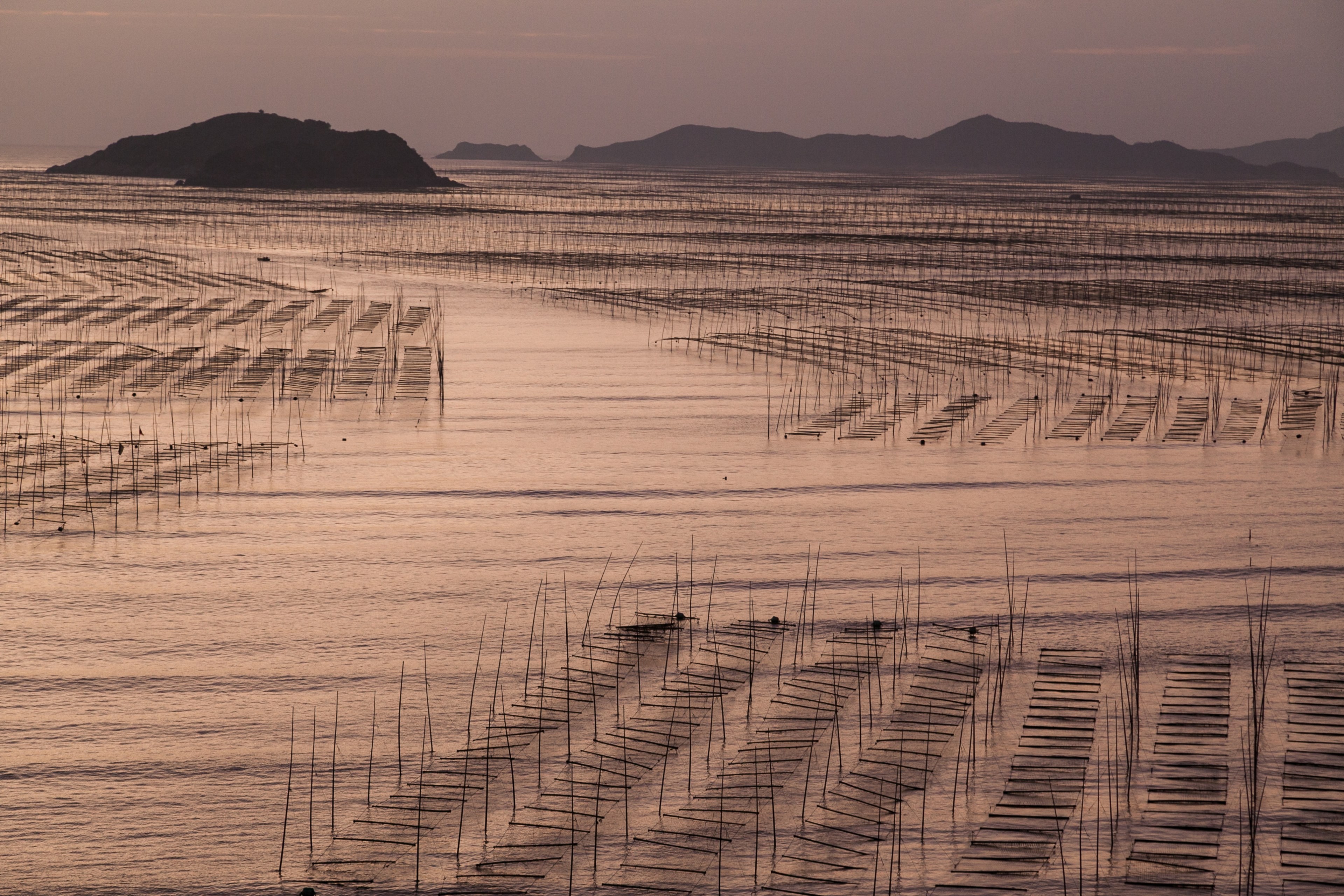 sunrise in beiqi china asia 4k, HD Wallpaper