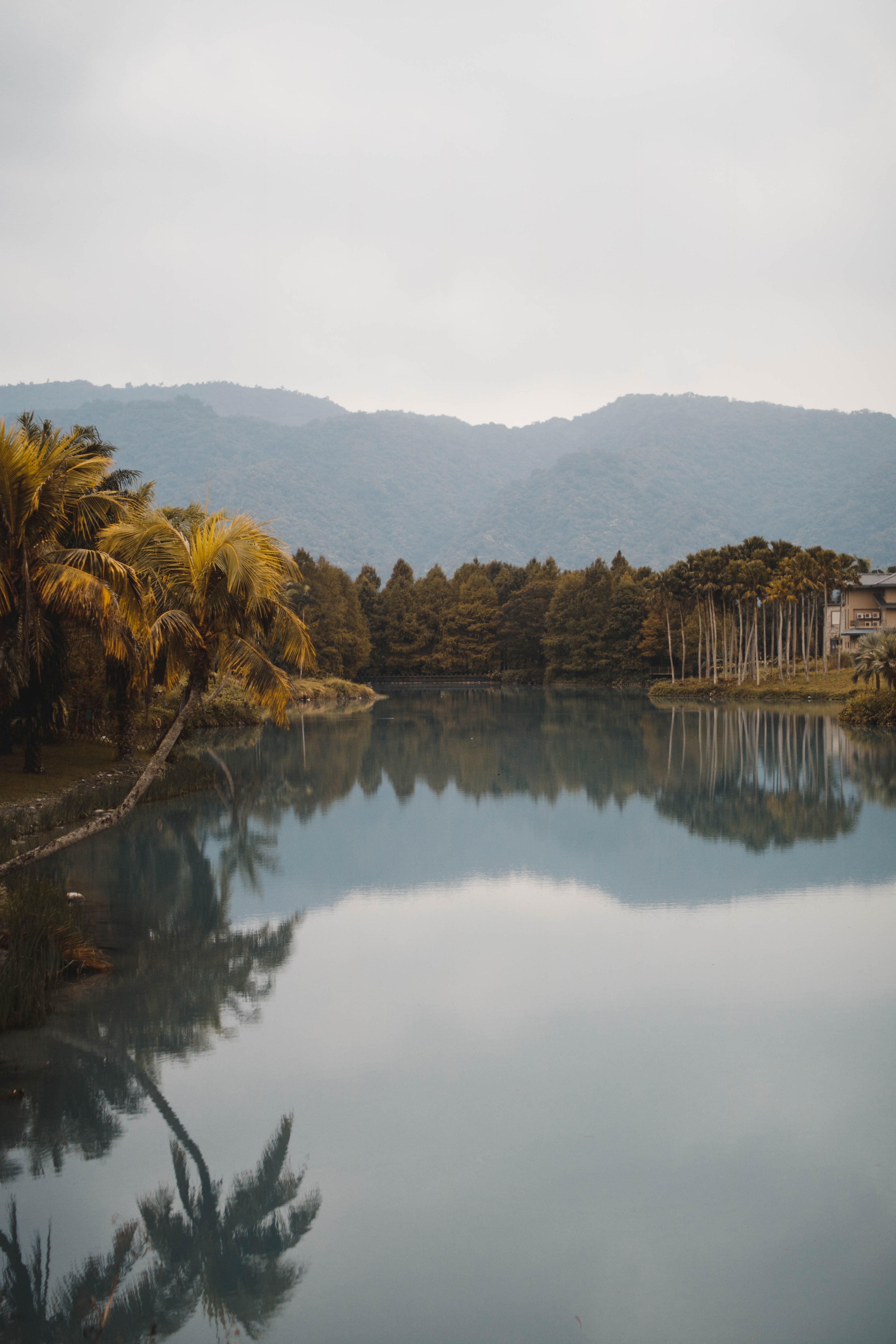tranquility 4k, Phone HD Wallpaper