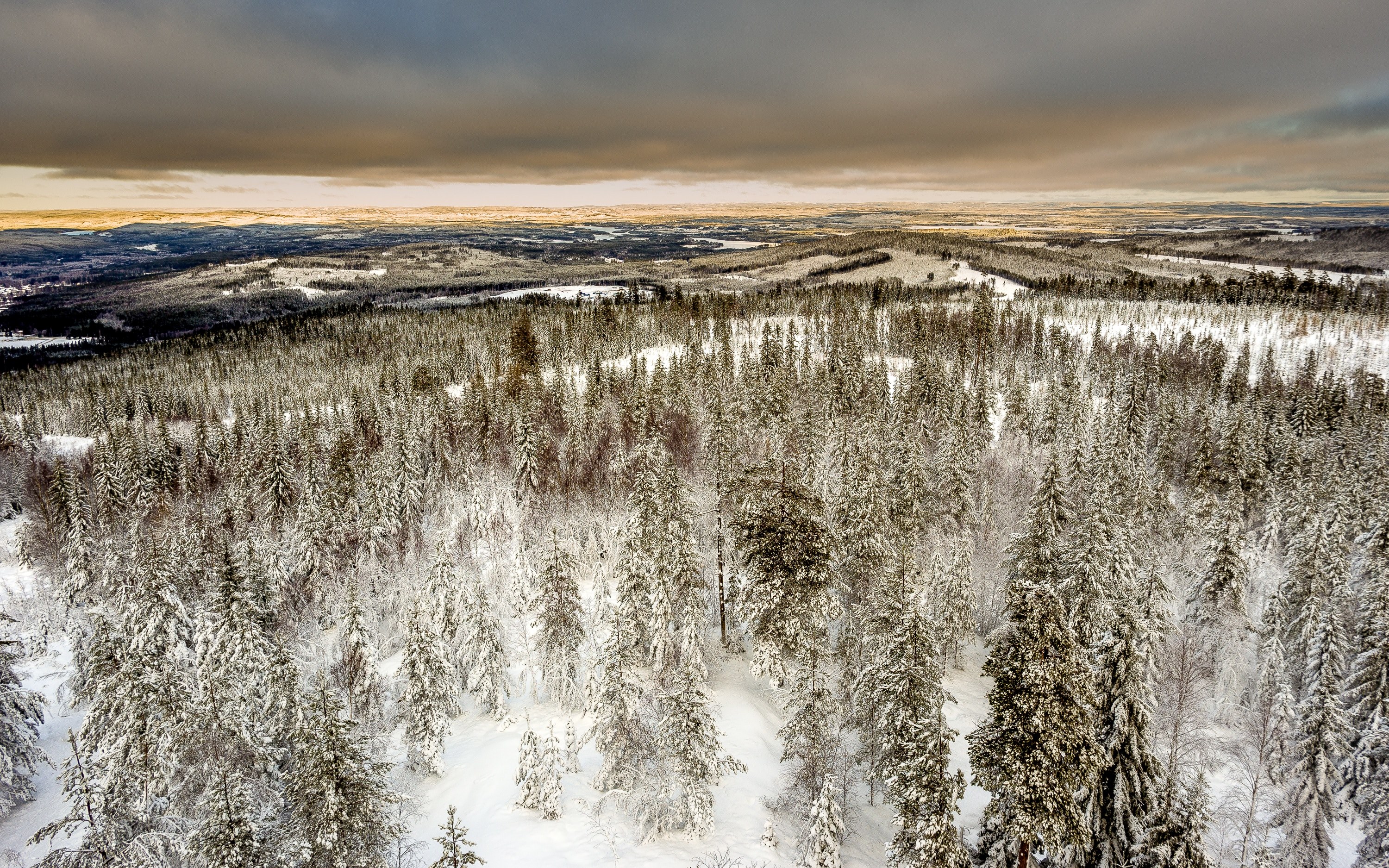 a drone shot taken above a forest during a snowy winter in hagfors, winter view 4k, HD Wallpaper
