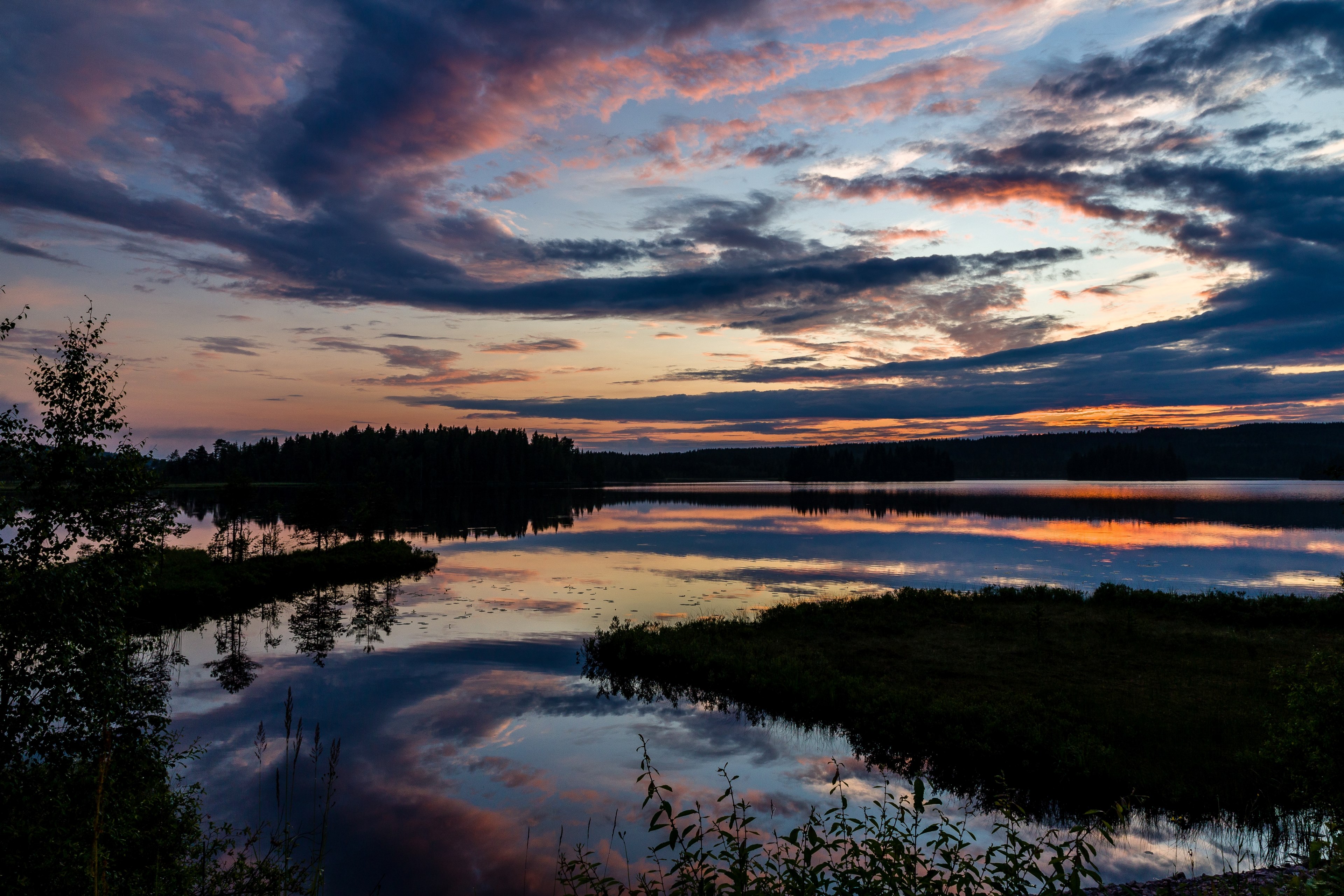 zeiss tamron canon and pigoffphotography 4k, HD Wallpaper