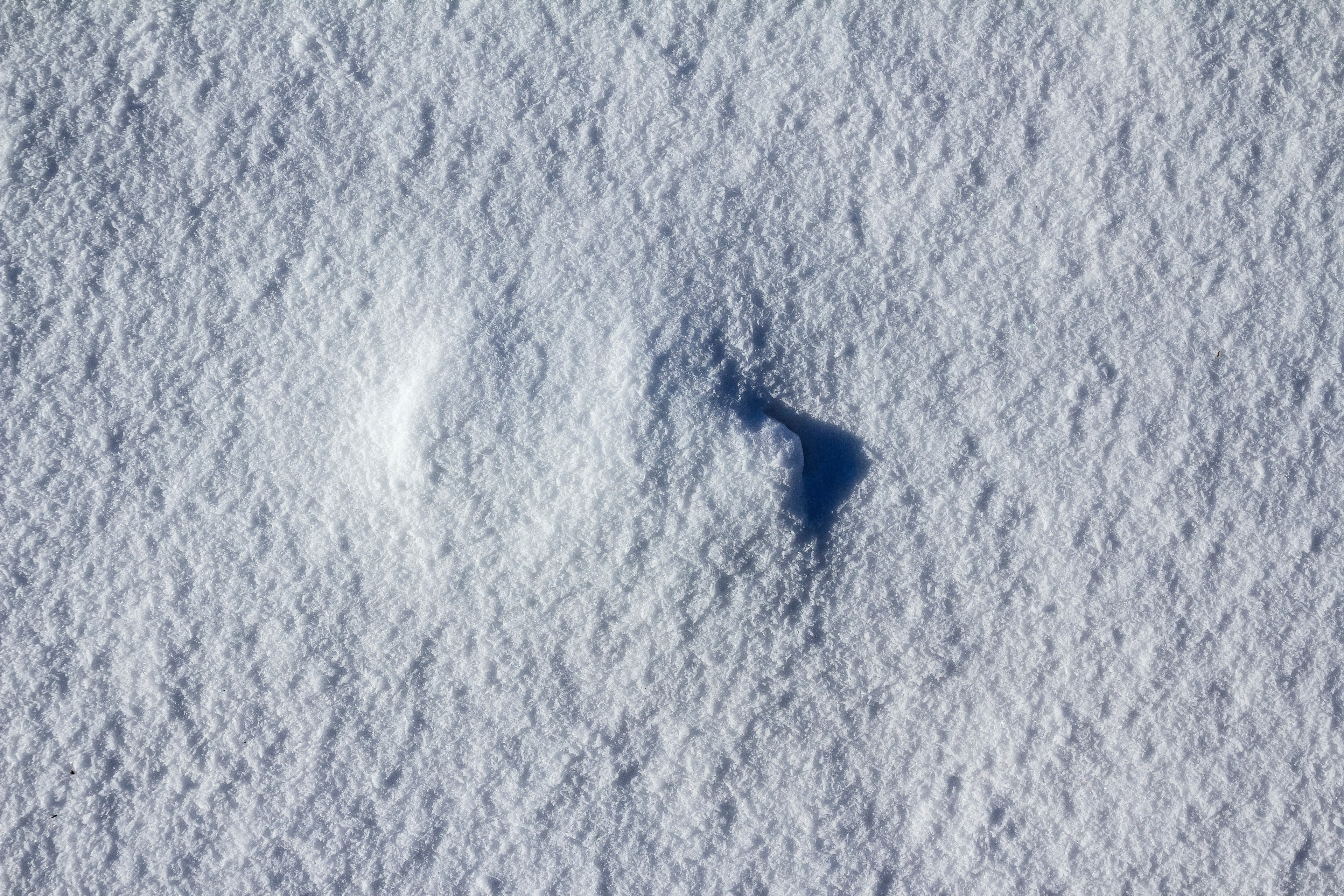 surface white texture texture and frozen 4k, HD Wallpaper