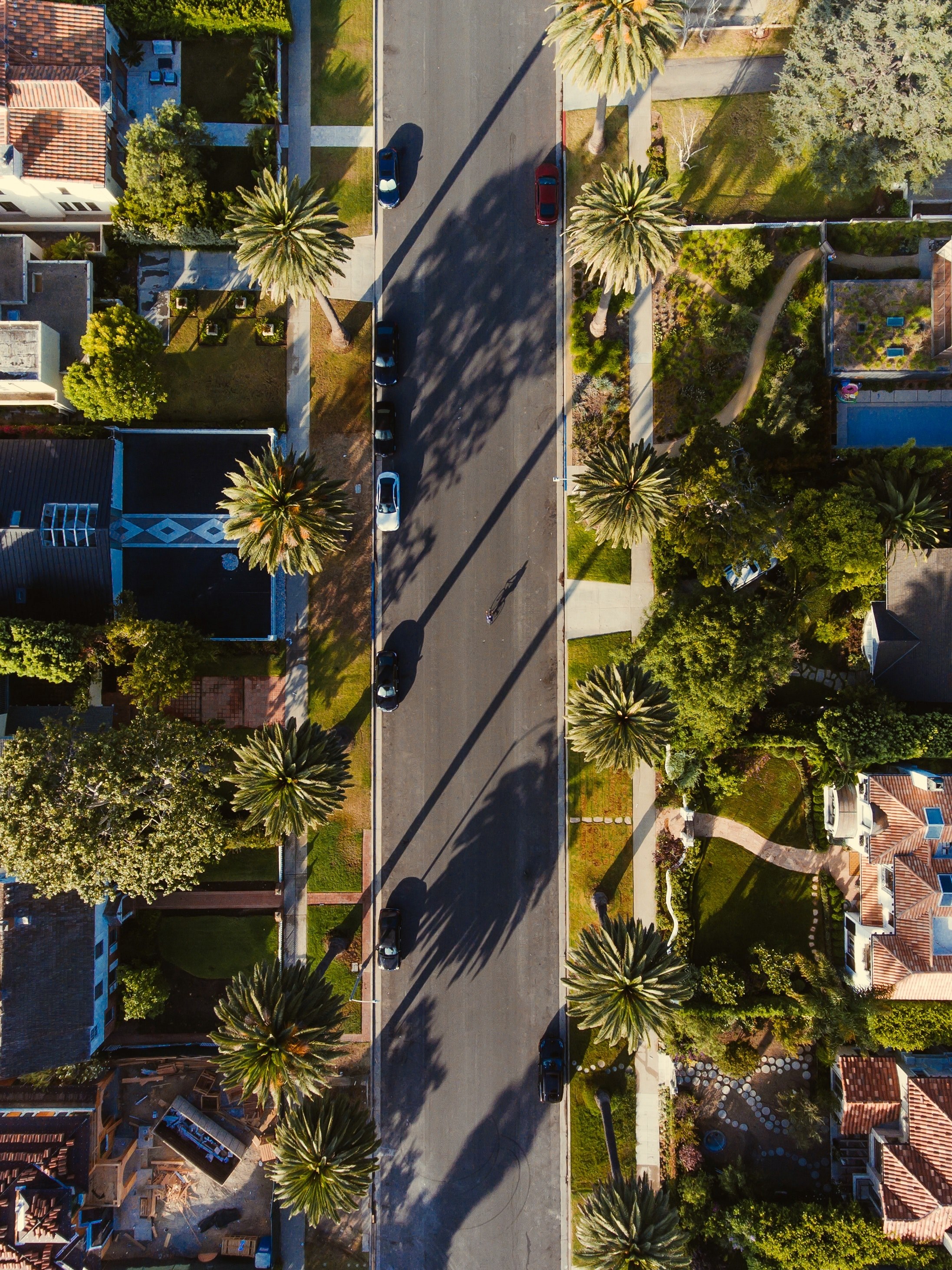 tree stree shadow and garden hd, 4k, Phone HD Wallpaper