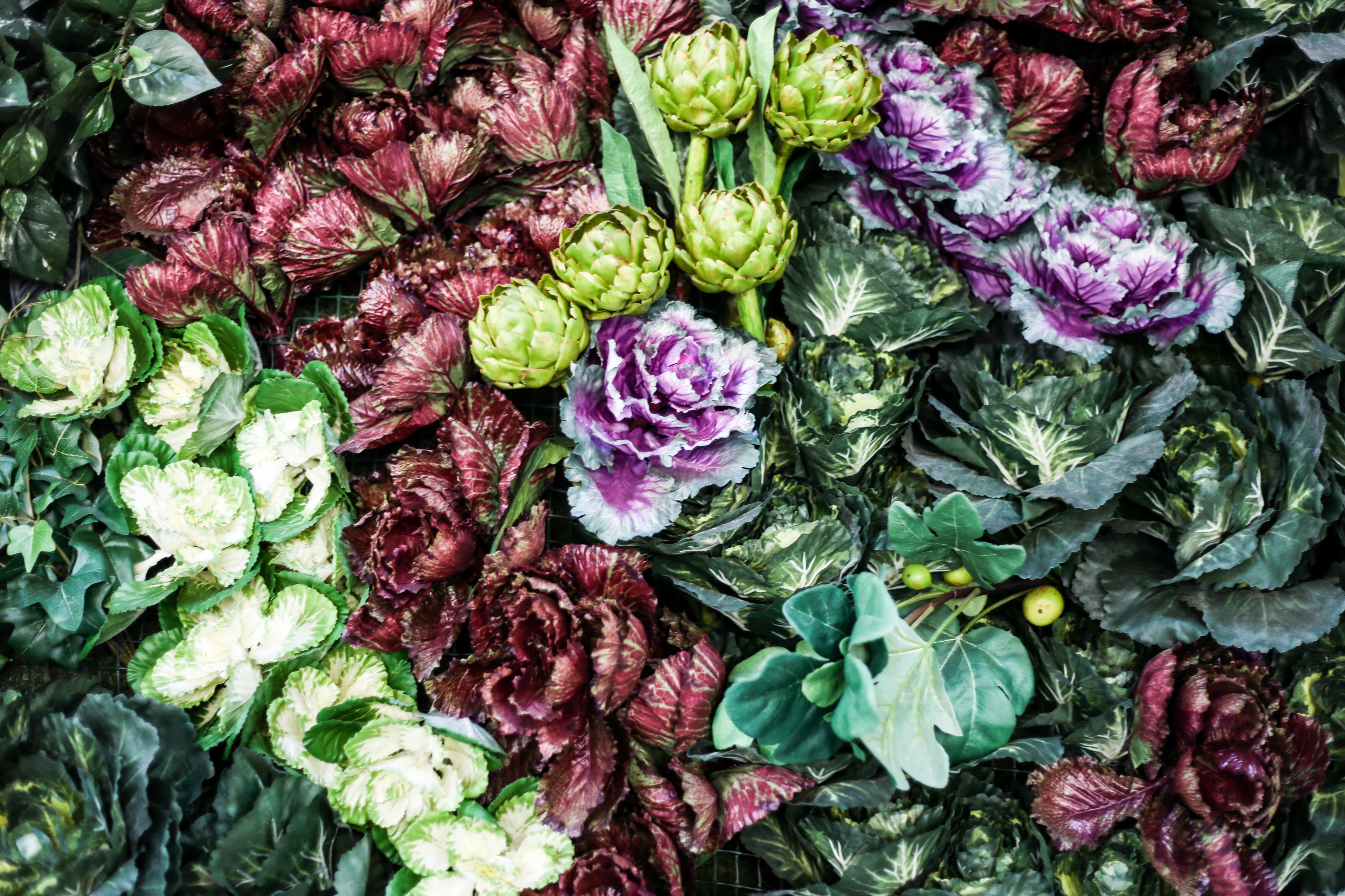 flower floral arrangement floral and succulent 4k, HD Wallpaper
