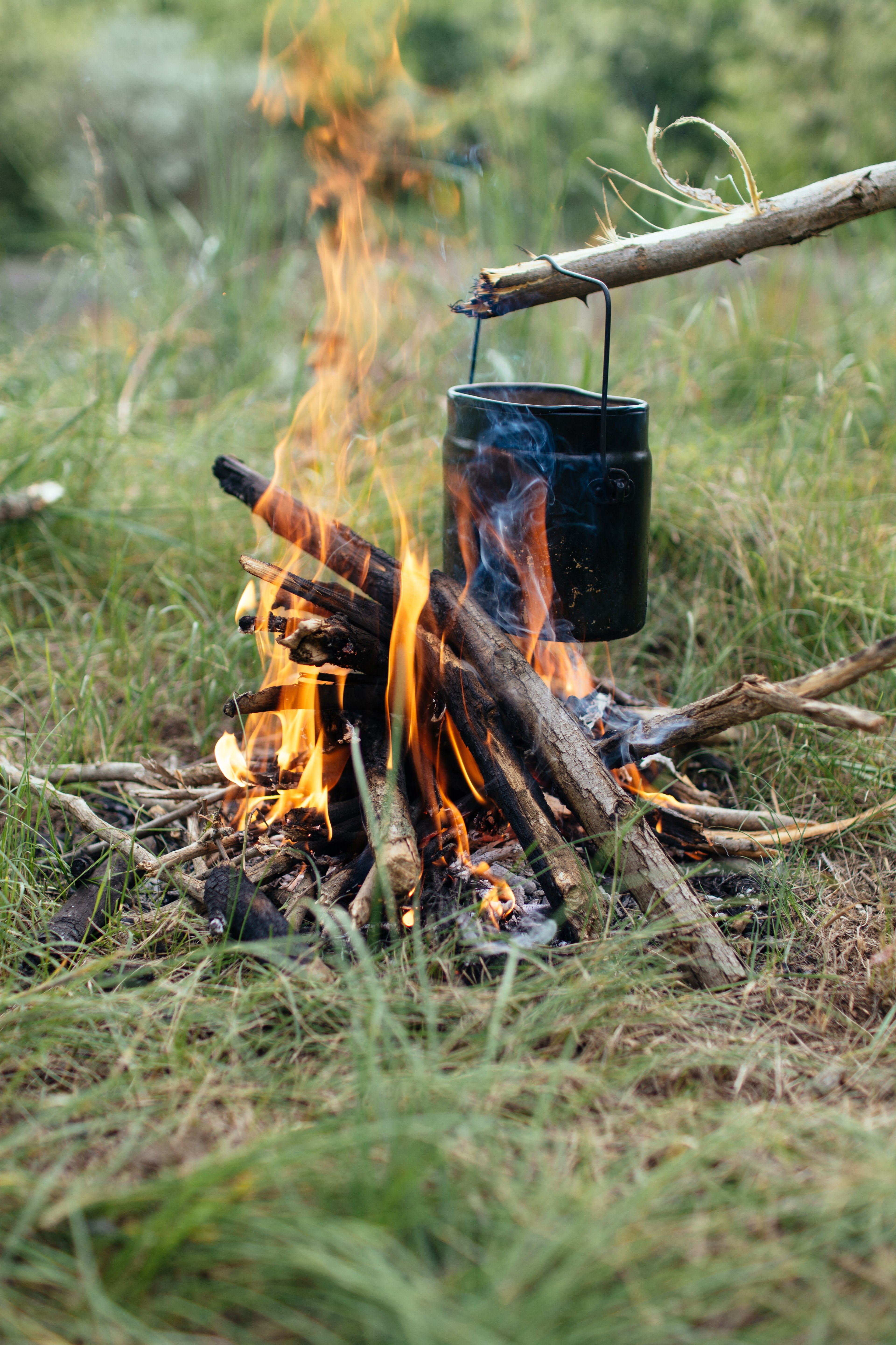 camp grass outdoor and nature hd, 4k, Phone HD Wallpaper