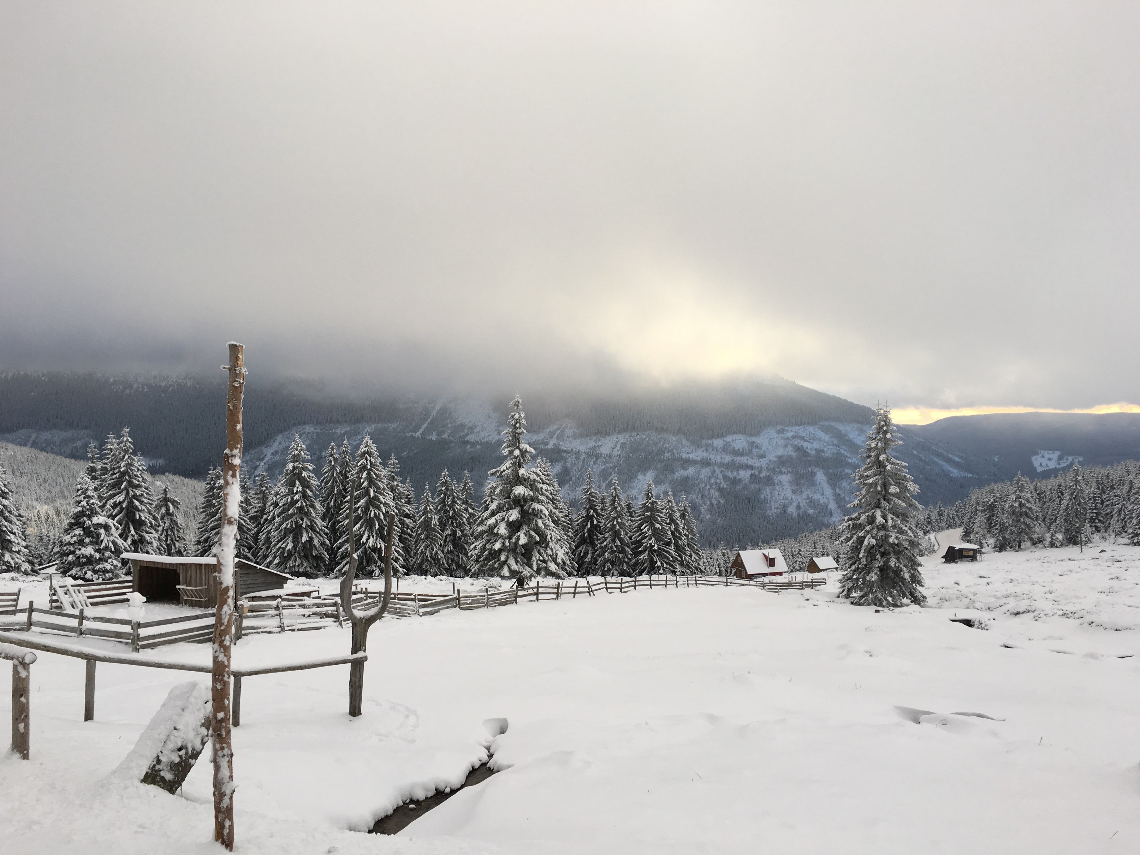 an isolated wood house in front of a snowcapped forest and a hidden mountain, snowy winter cabins 4k, HD Wallpaper