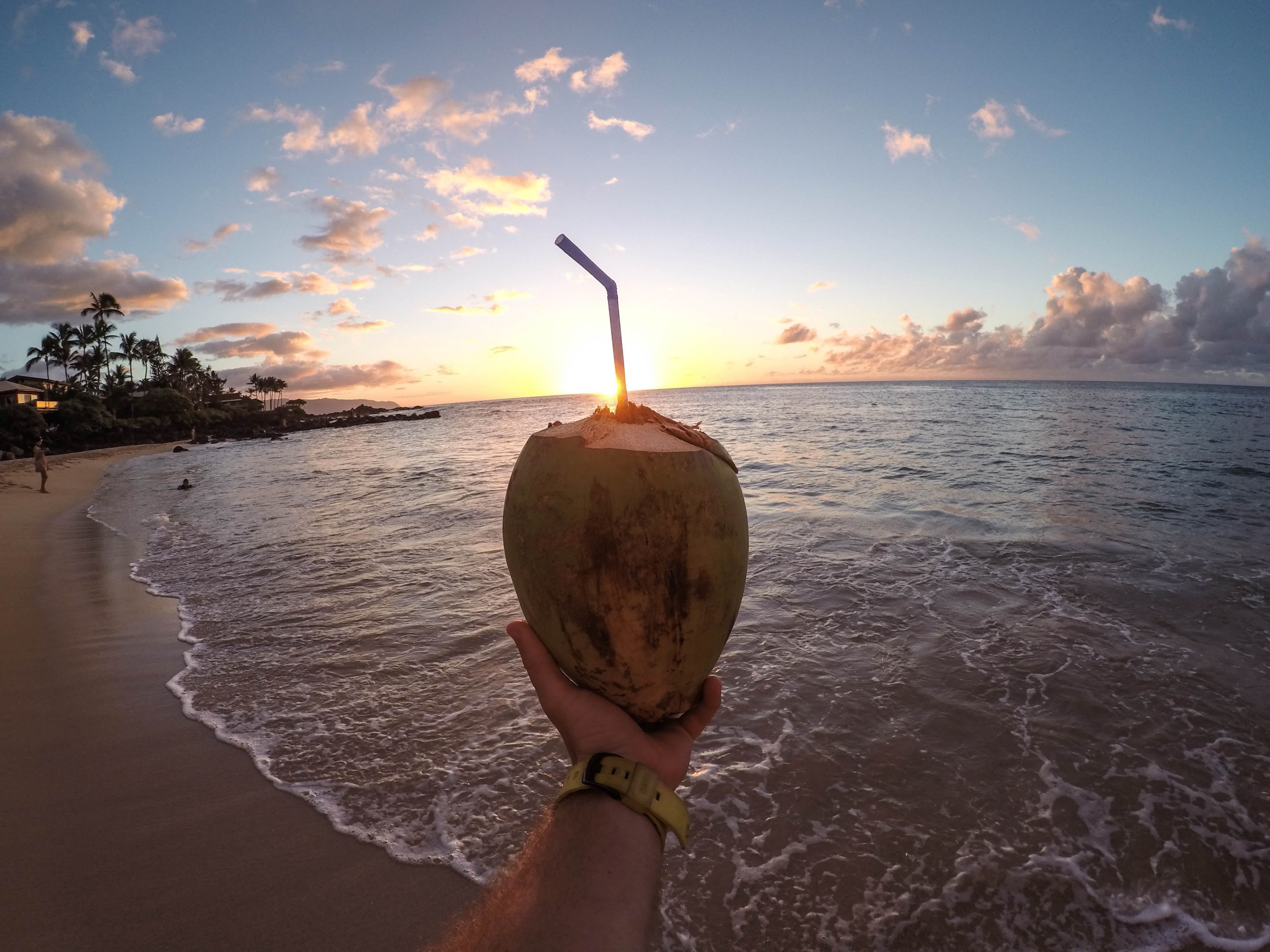 drinking with a straw out of a fruit in hawaii, _fruit bottle straw hawaii 4k, HD Wallpaper