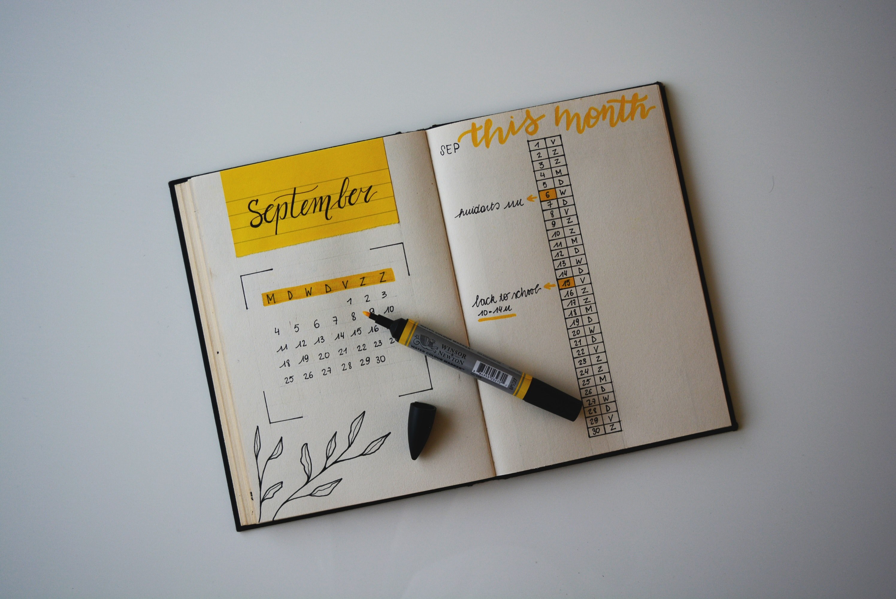 back to school with a bullet journal 4k, HD Wallpaper