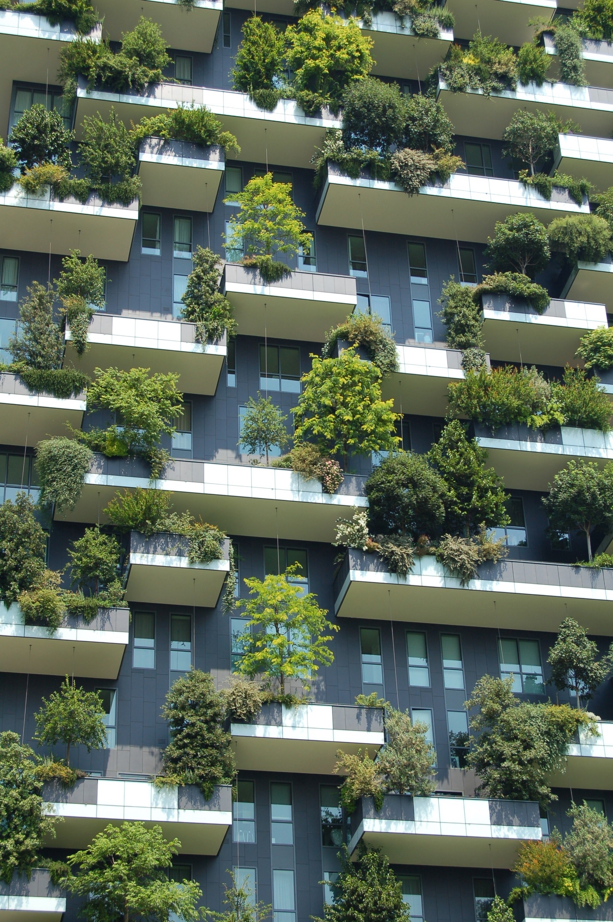 the side of a green apartment building with lots of plants on it, green apartment 4k, Phone HD Wallpaper