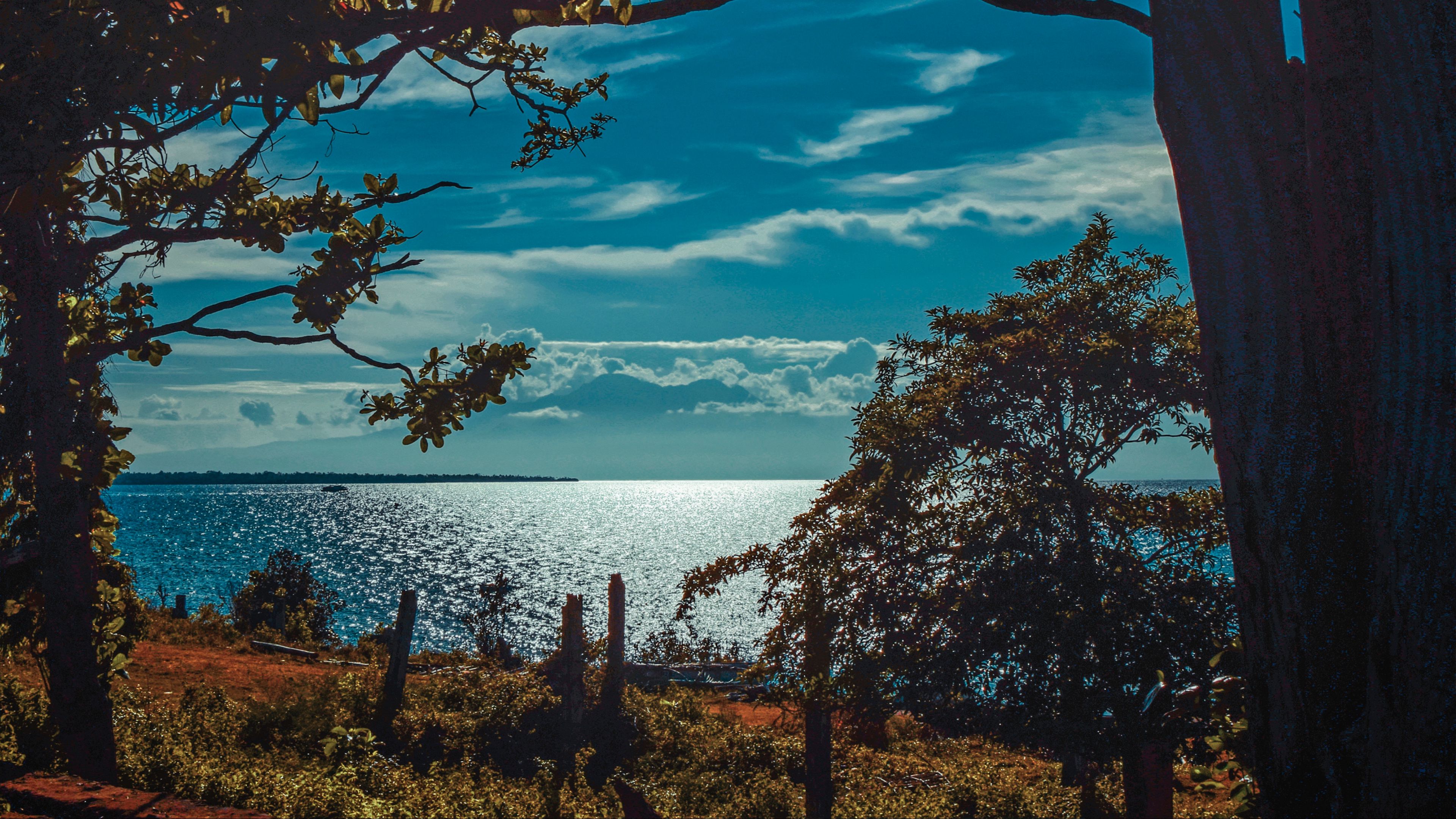 river, shore, trees, sunlight, 4k, HD Wallpaper