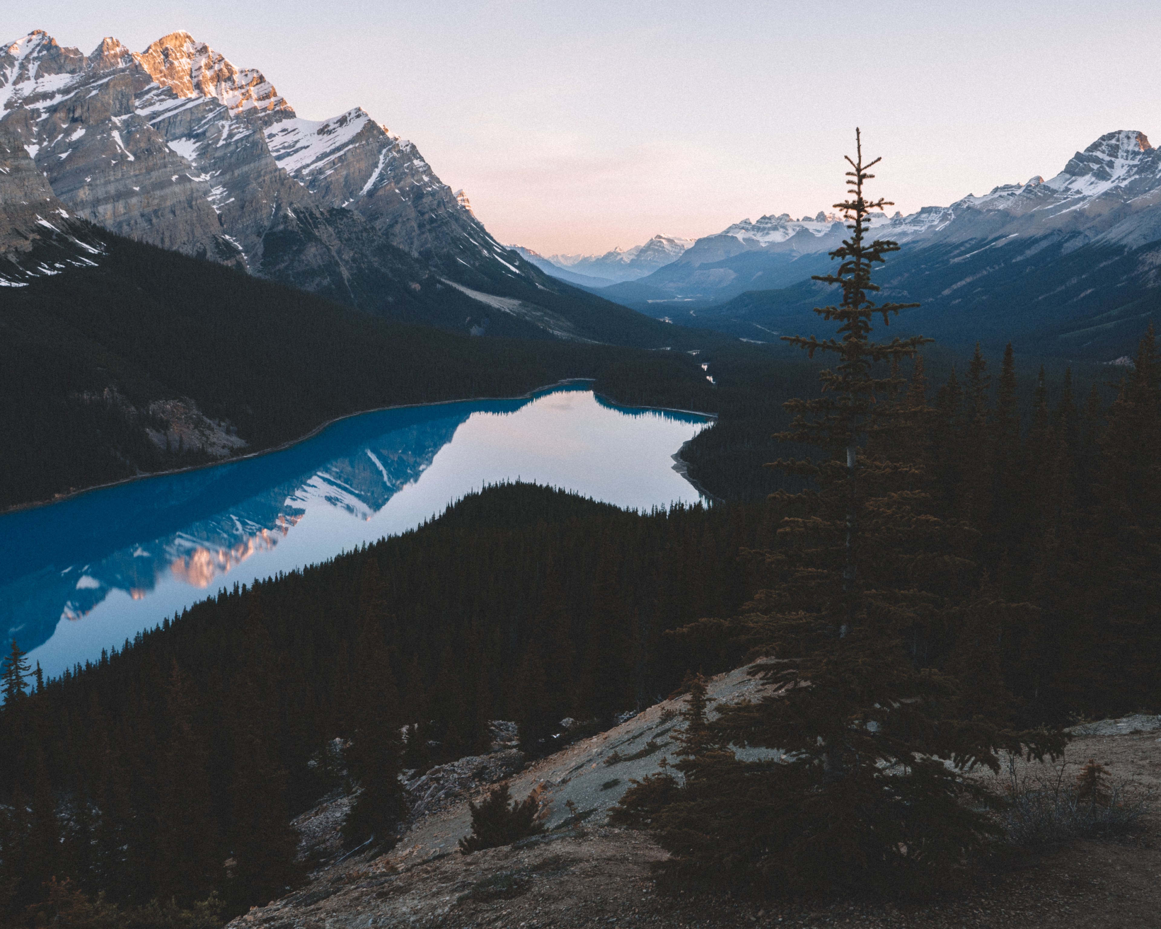 the trident shaped peyto lake with mountainous landscape in the background, sunrise at peyto lake alberta 4k, HD Wallpaper