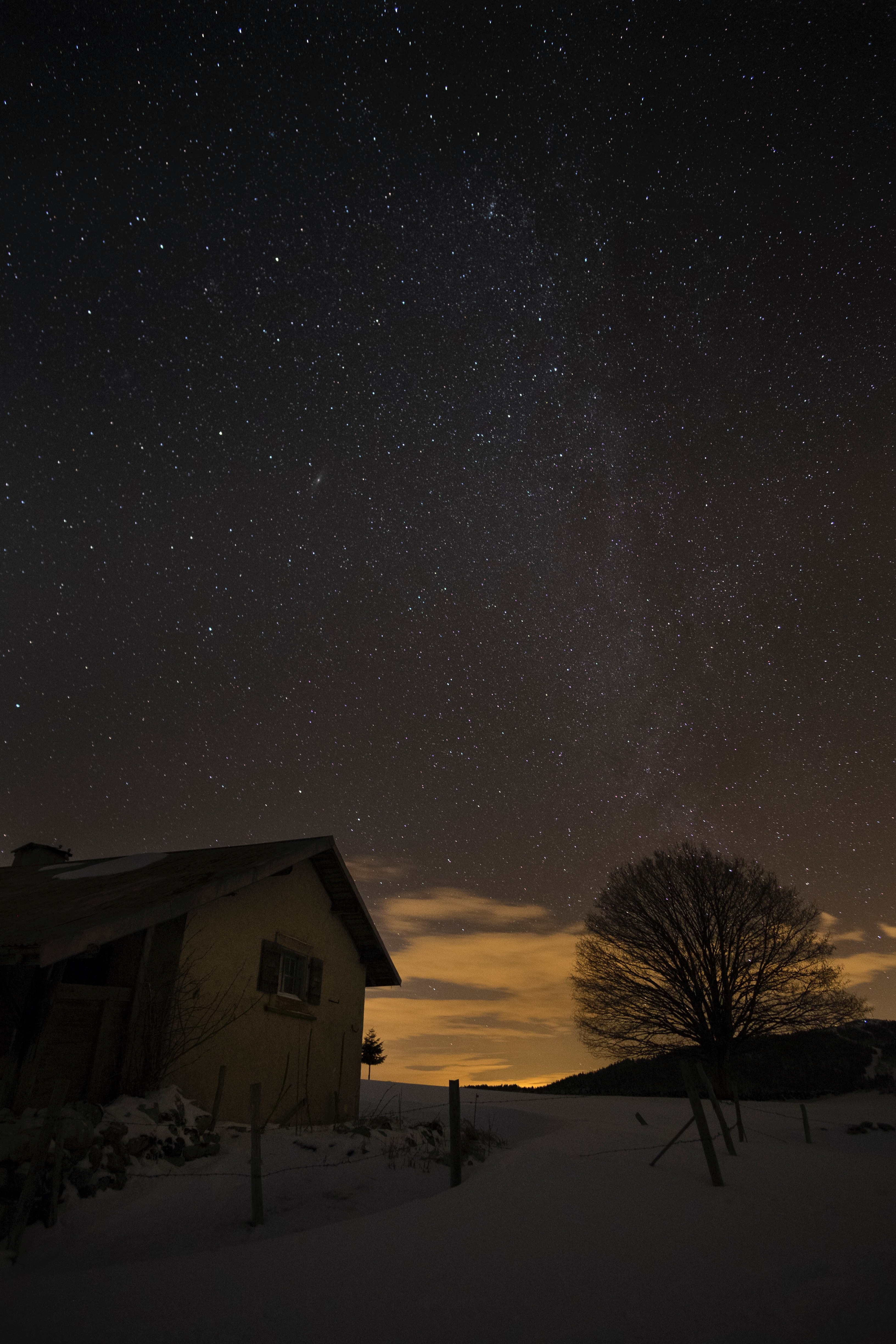 a small house and the silhouette of a leafless tree sit in snow under a starry sky, milkyway over the tree 4k, Phone HD Wallpaper