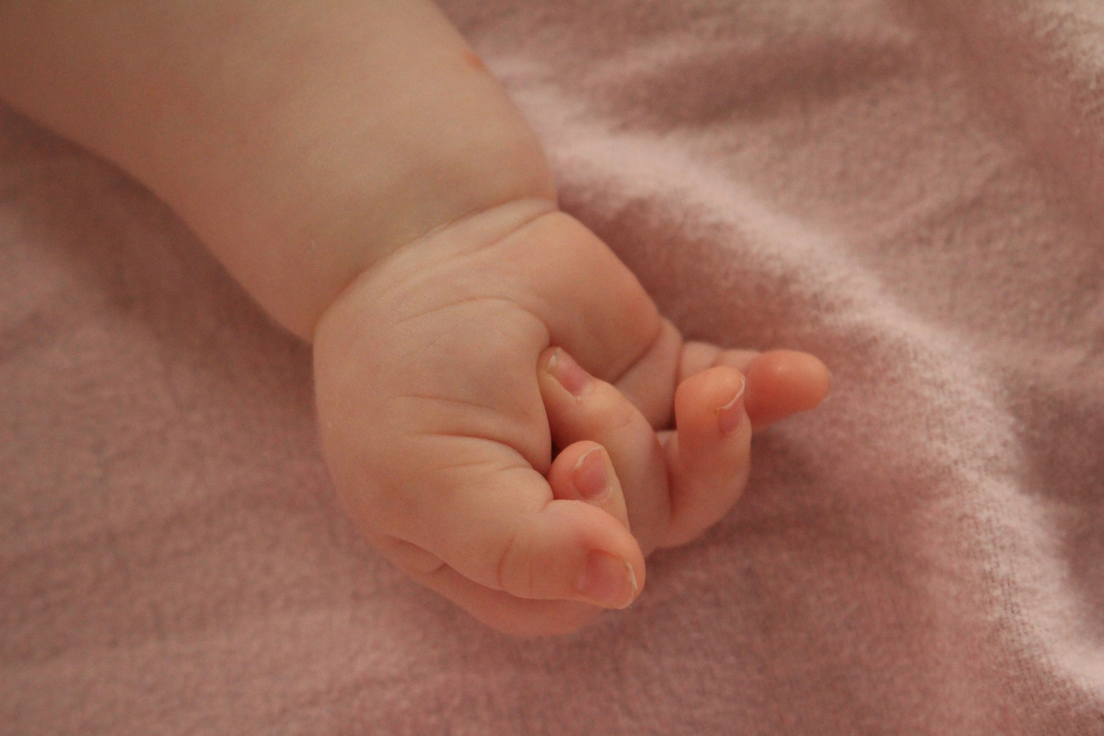 close up of babys clenched hand on pink blanket, babys hand 4k, HD Wallpaper