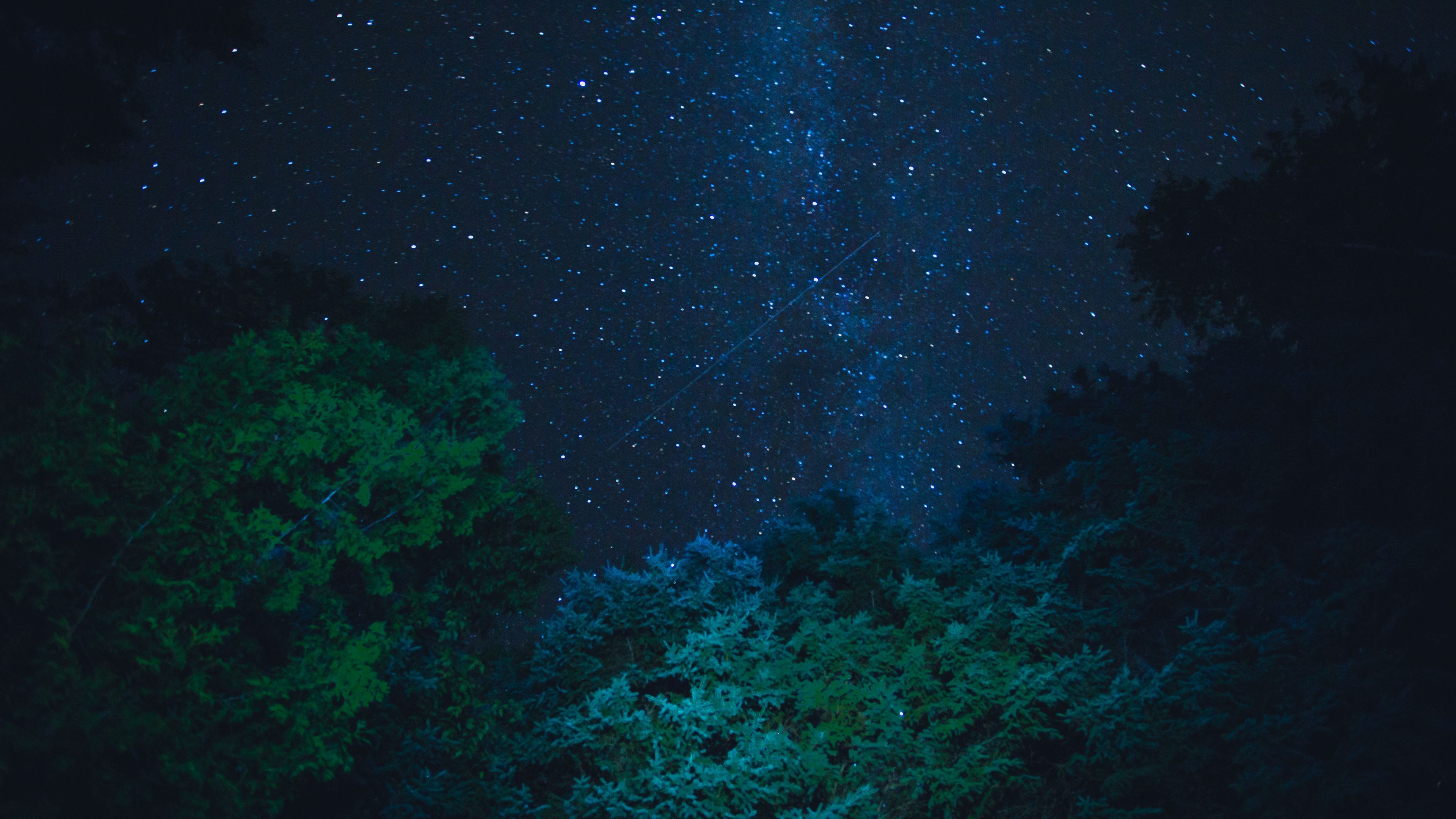 starry sky, stars, night, trees, 4k, HD Wallpaper