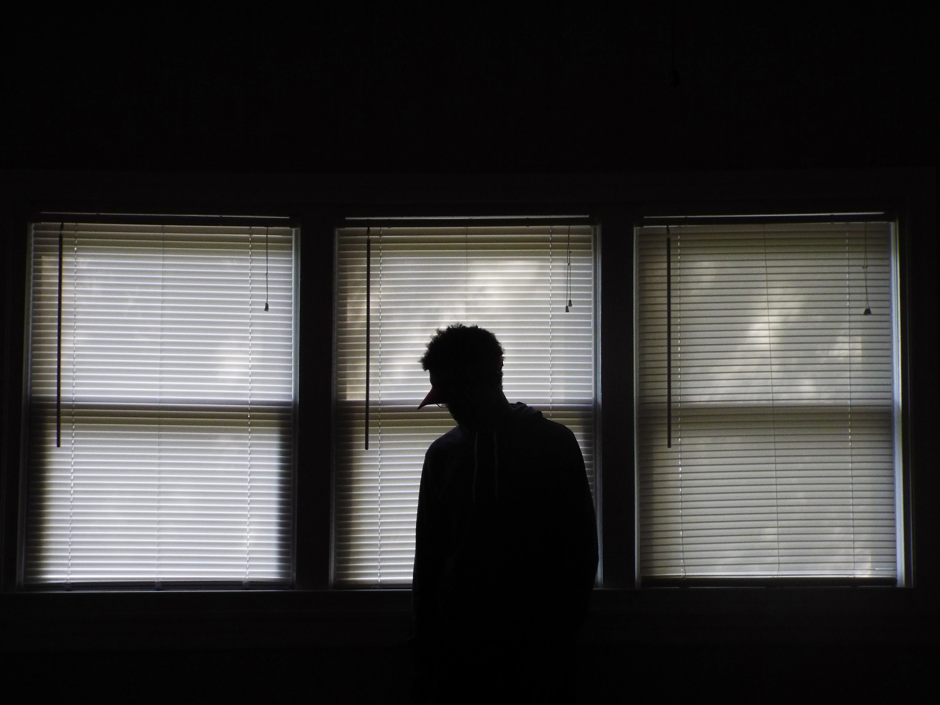 blind shadow window and eprson 4k, HD Wallpaper