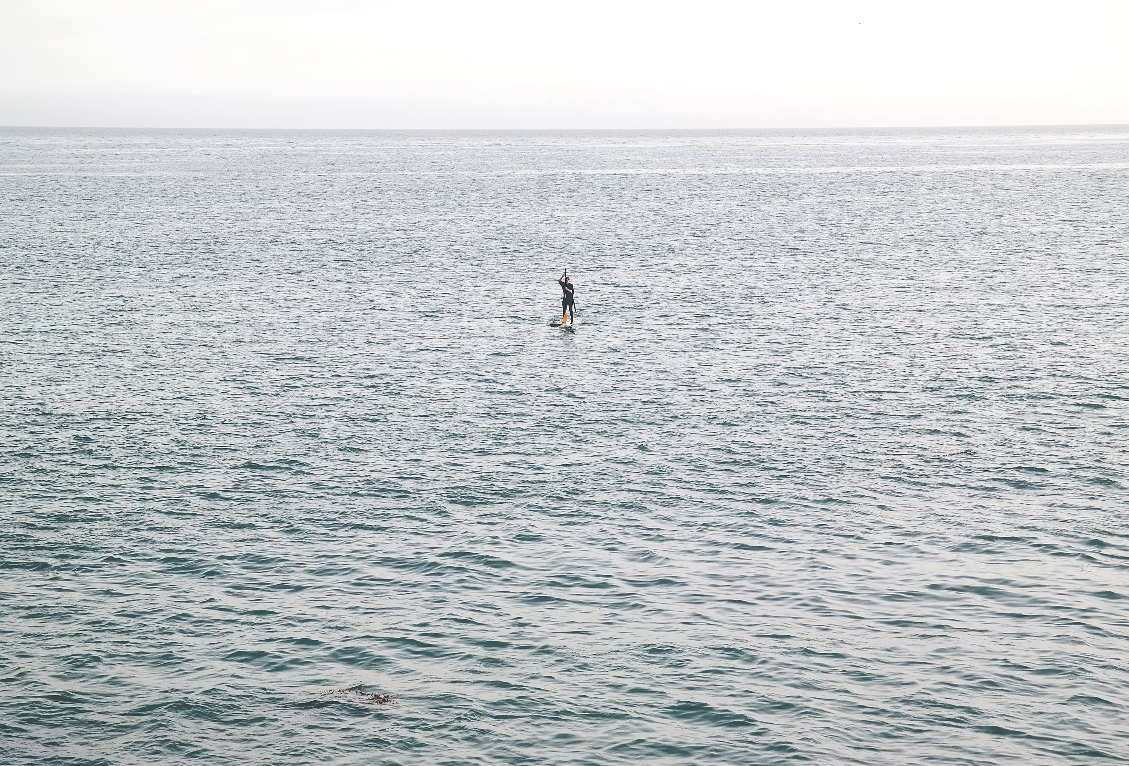 a distant shot of a paddle boarder in a huge mass of tranquil sea, paddle boarder finds solitude in the sea 4k, HD Wallpaper