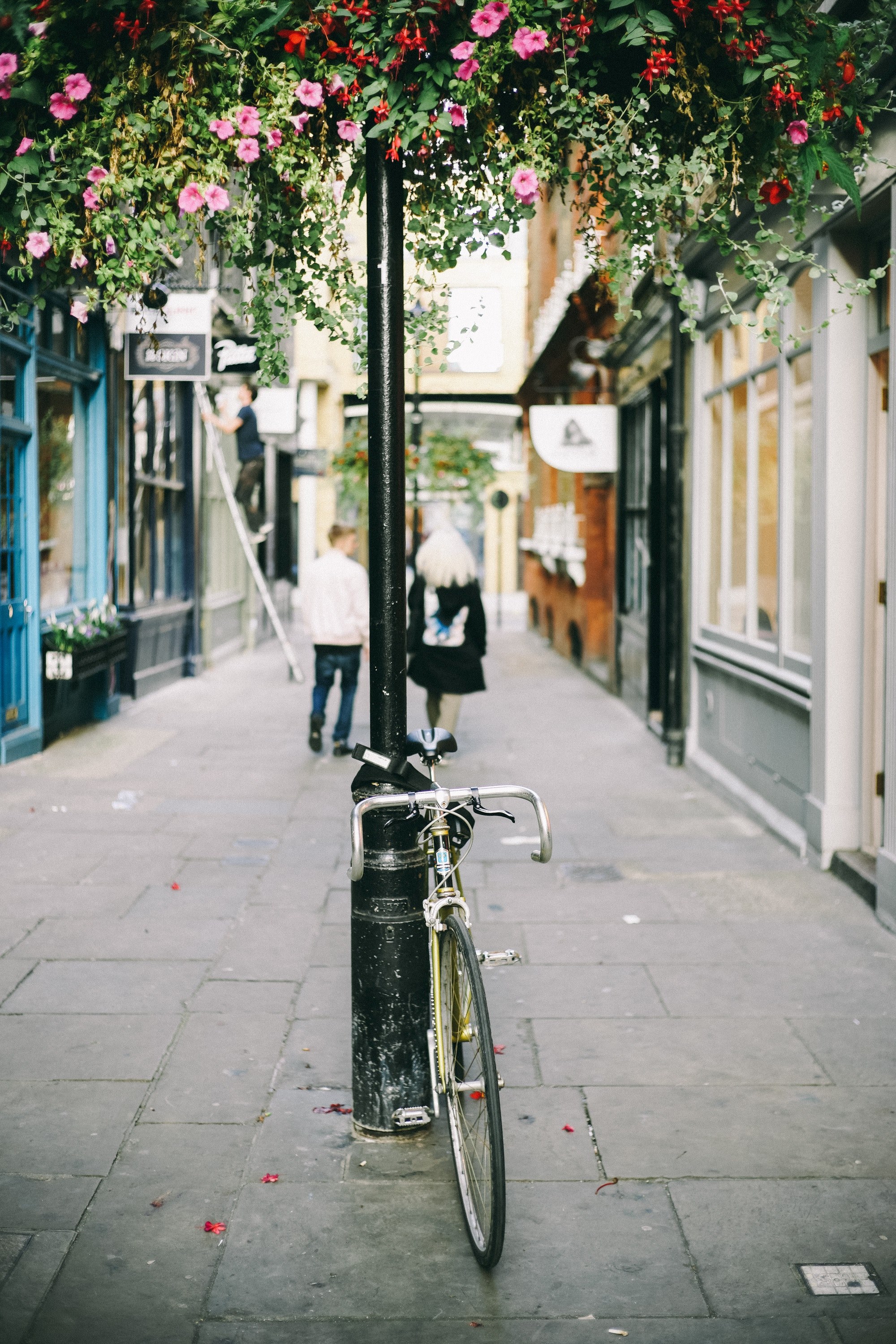a bicycle attached to a street post under a canopy of pink and red flowers, urban bicycle under flowers 4k, Phone HD Wallpaper