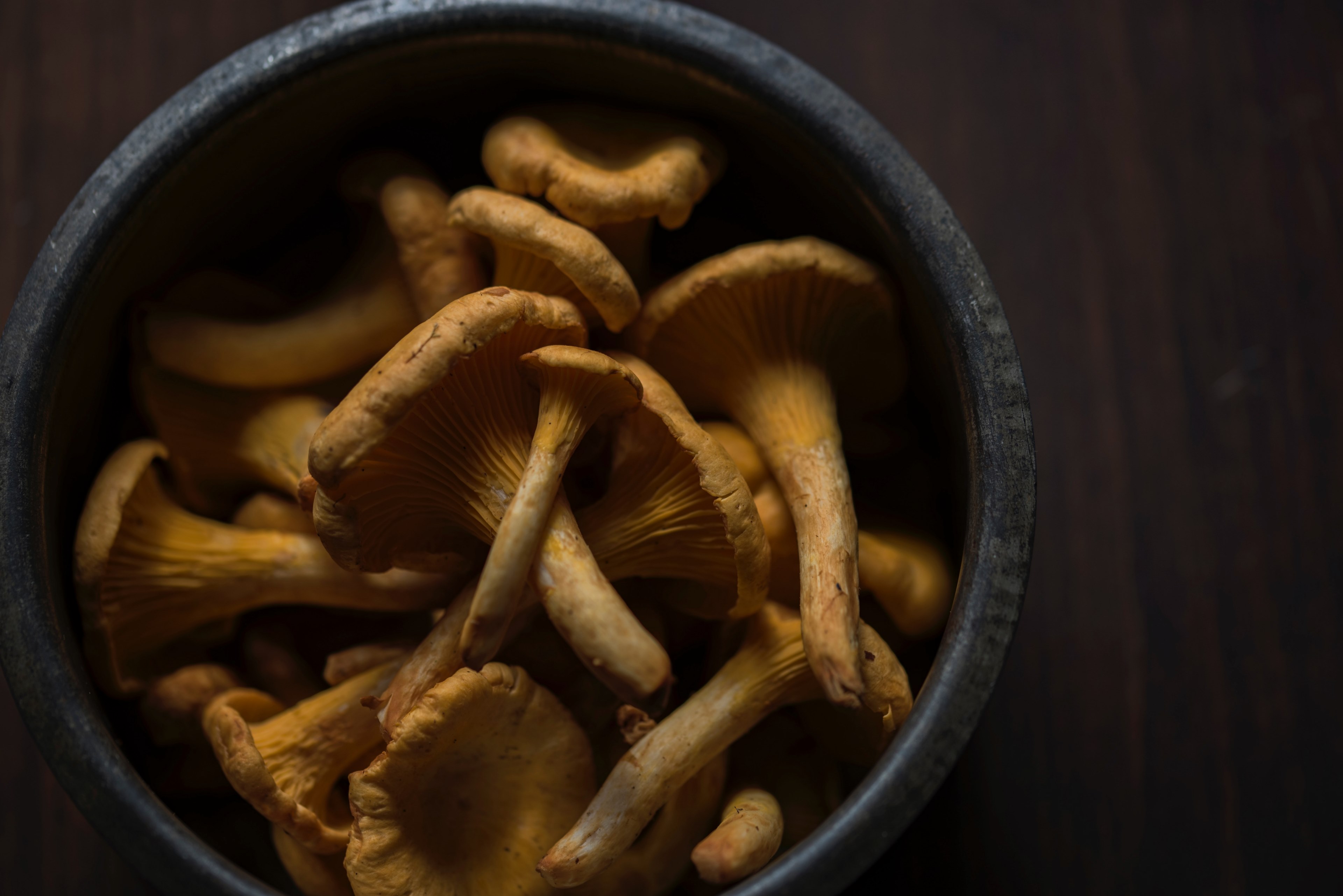 rustic bowl of mushrooms and fungus vegetables, bowl of mushrooms 4k, HD Wallpaper