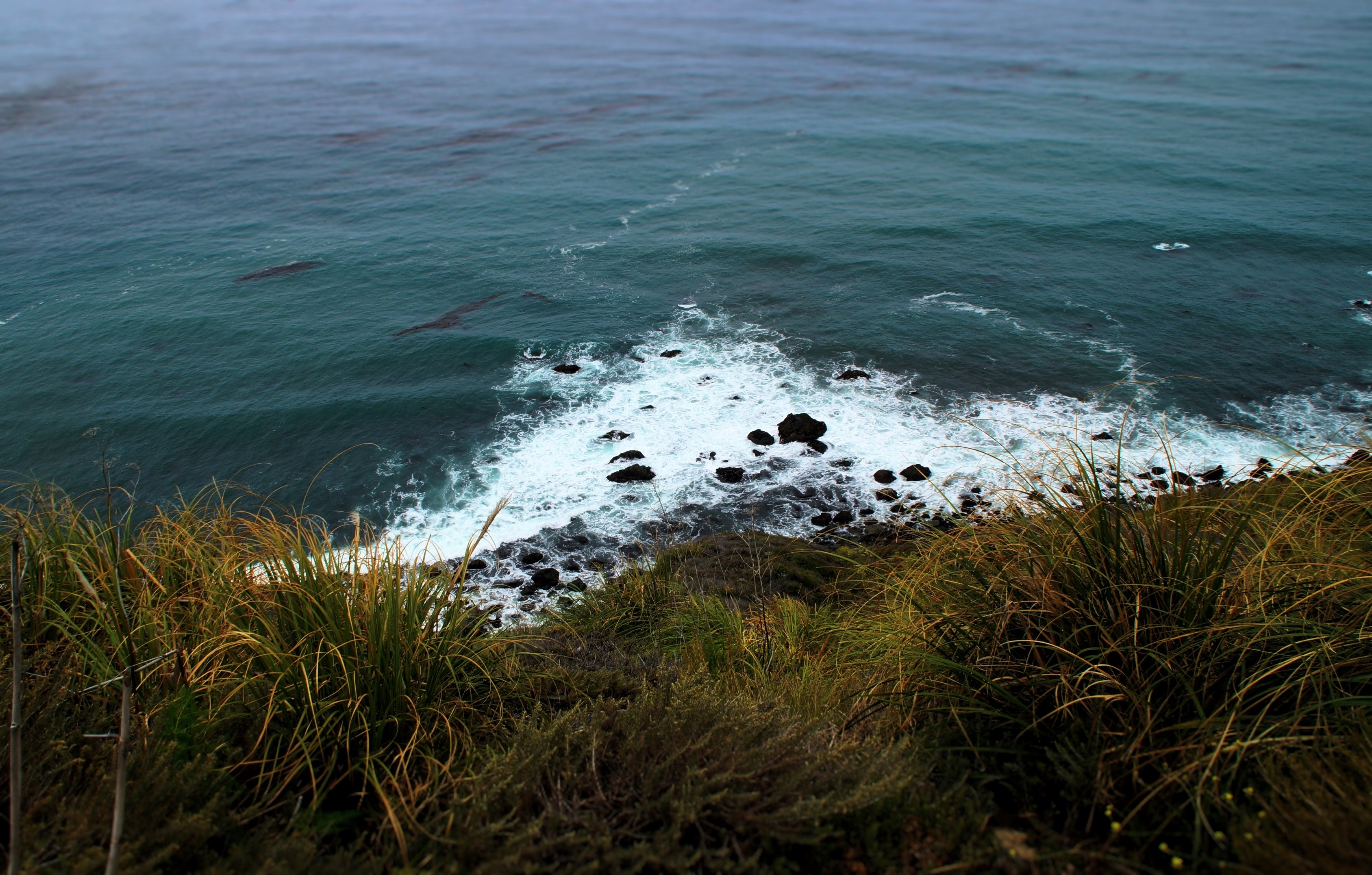 rocky ocean shore viewed from a grassy hill at big sur, looking down at the breaking waves 4k, HD Wallpaper