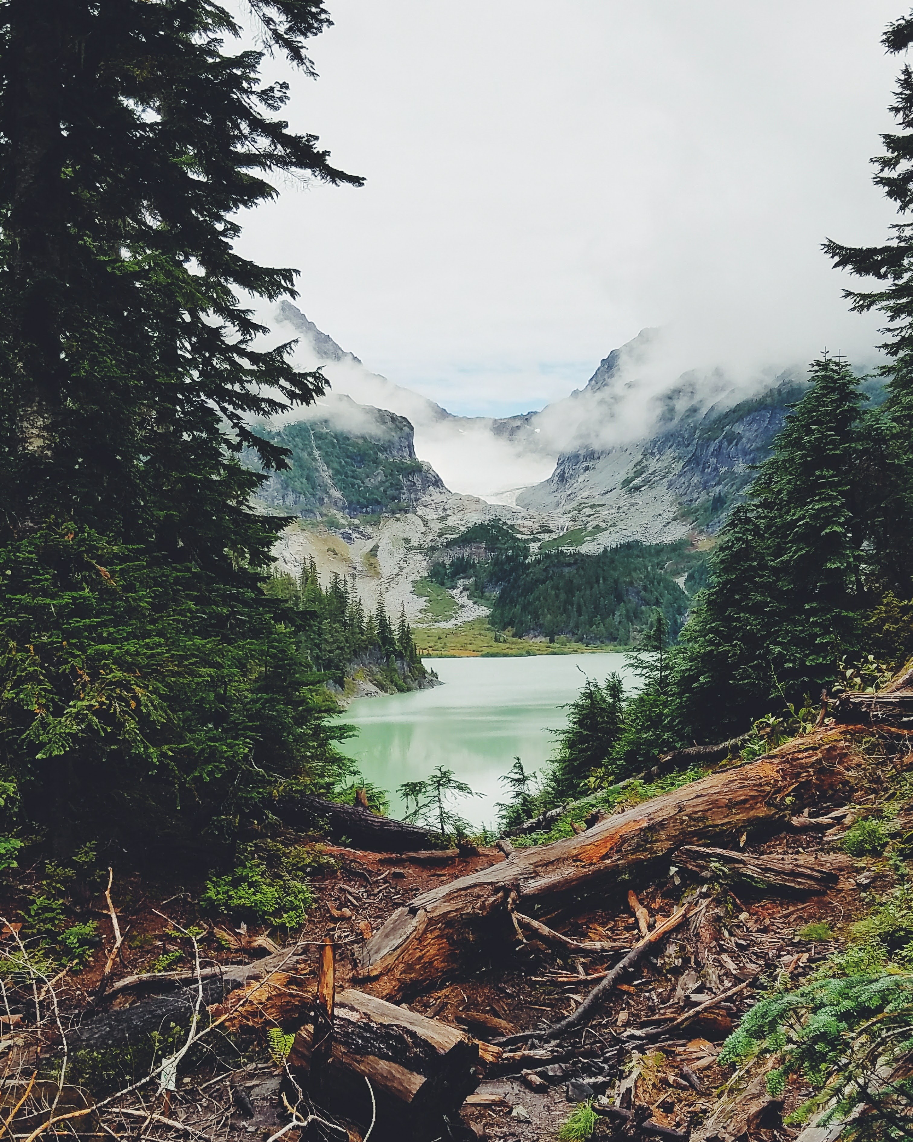mountain lake tree and forest hd, 4k, Phone HD Wallpaper