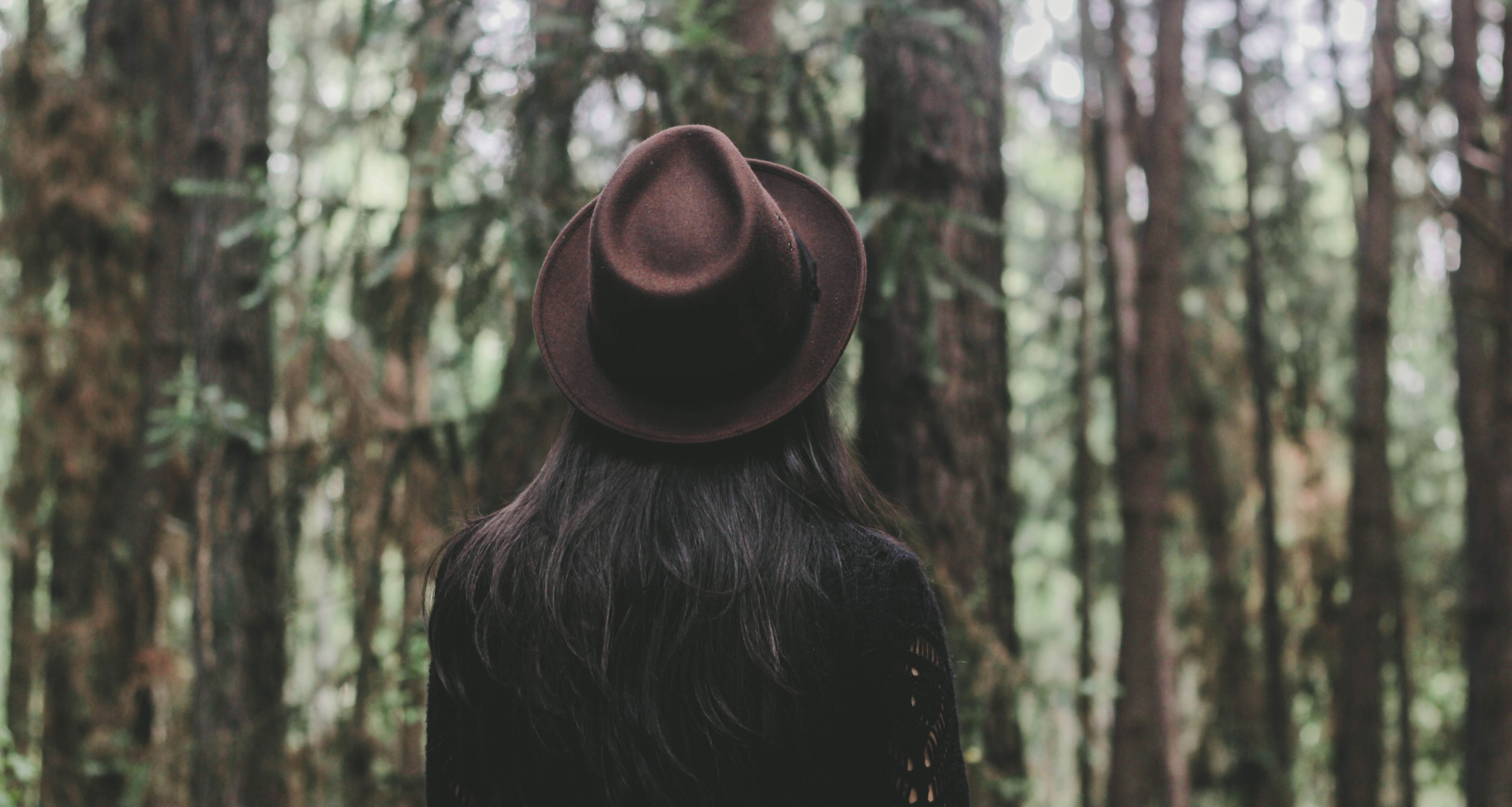 a woman in a hat looking at trees in a forest in cianorte, woman admiring a forest 4k, HD Wallpaper