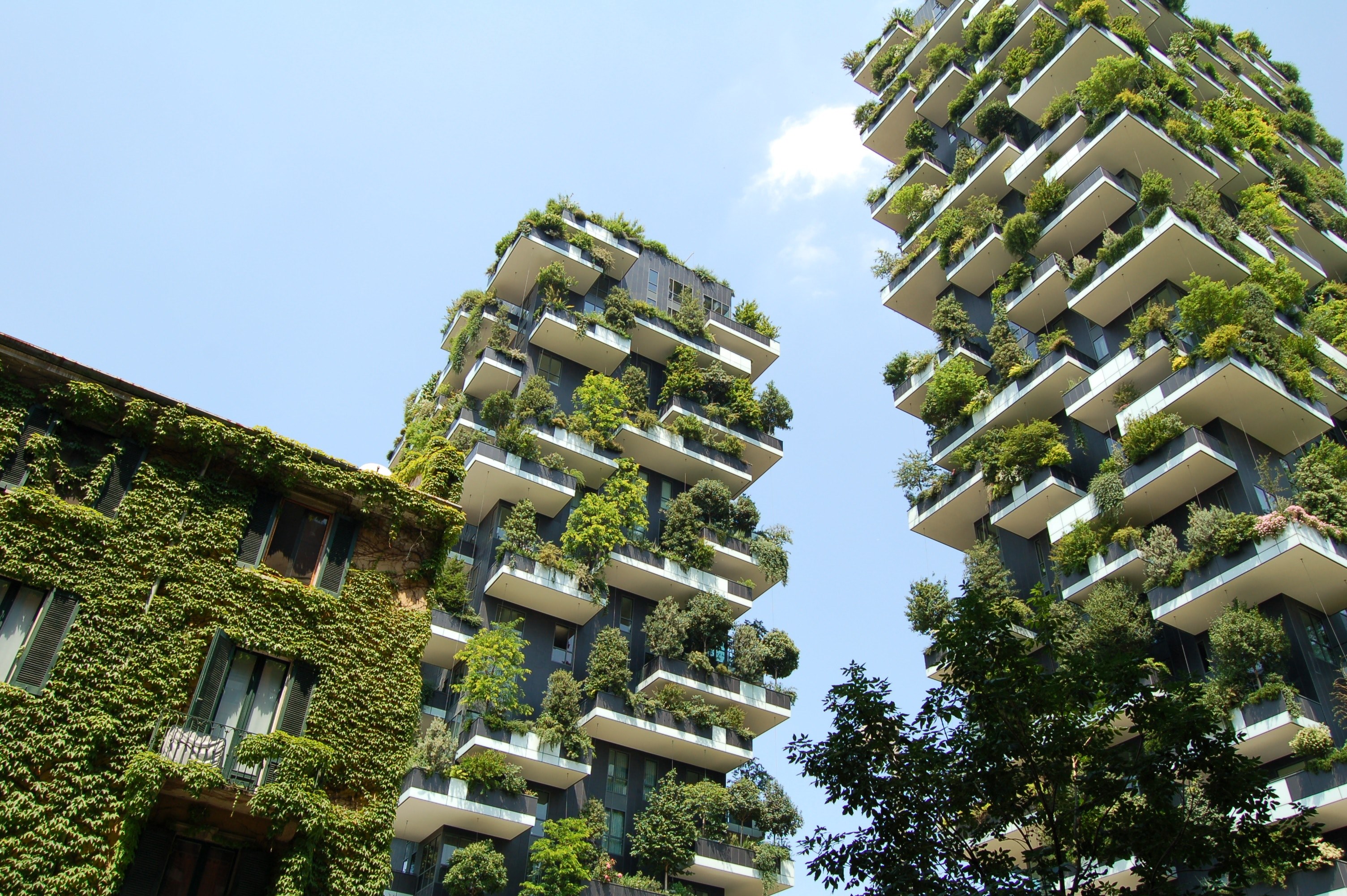 two tall buildings with large green bushes and trees on their terraces, vertical greenery 4k, HD Wallpaper