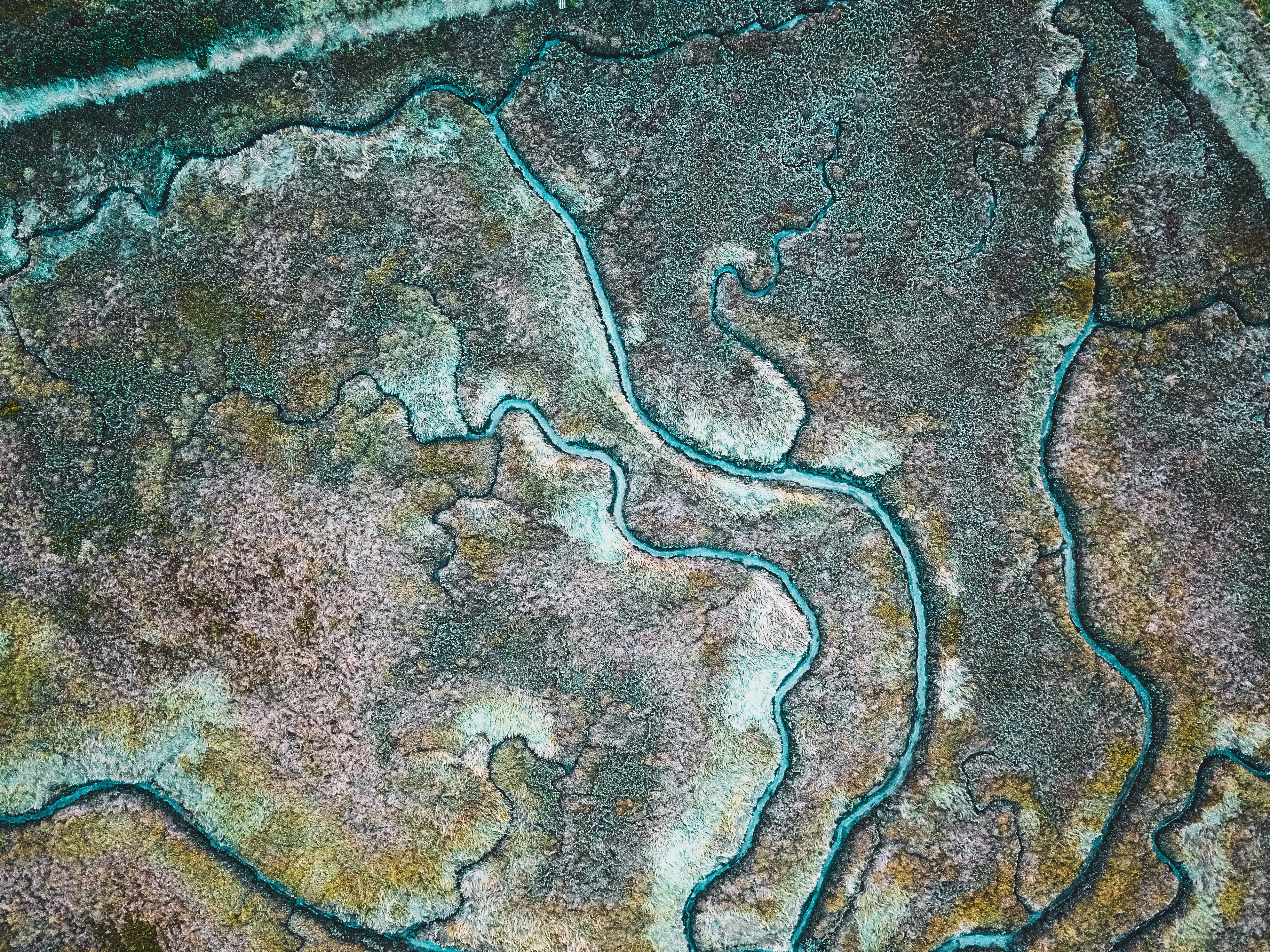 veins of earth 4k, HD Wallpaper