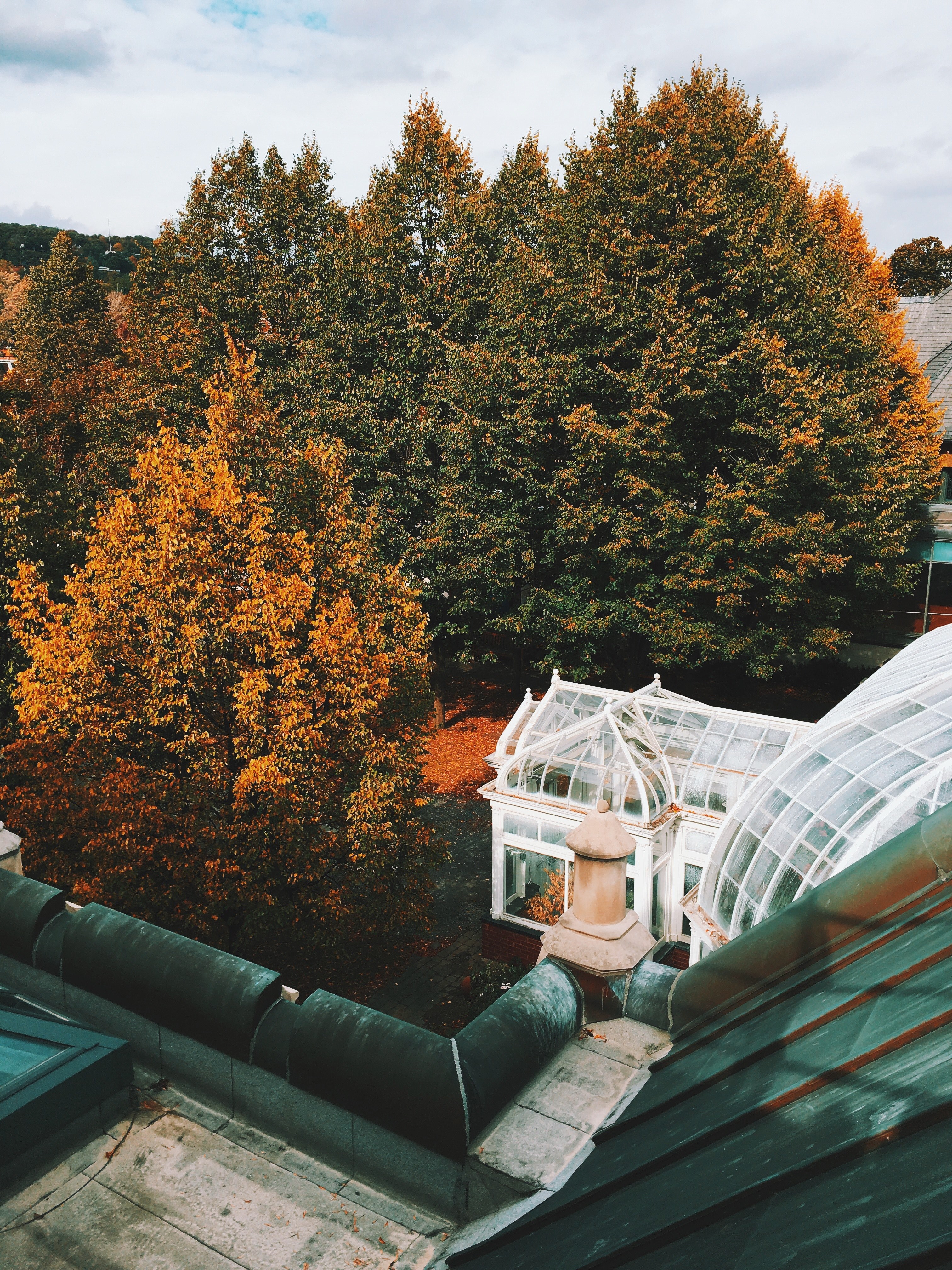 soil roof green and orange hd, 4k, Phone HD Wallpaper
