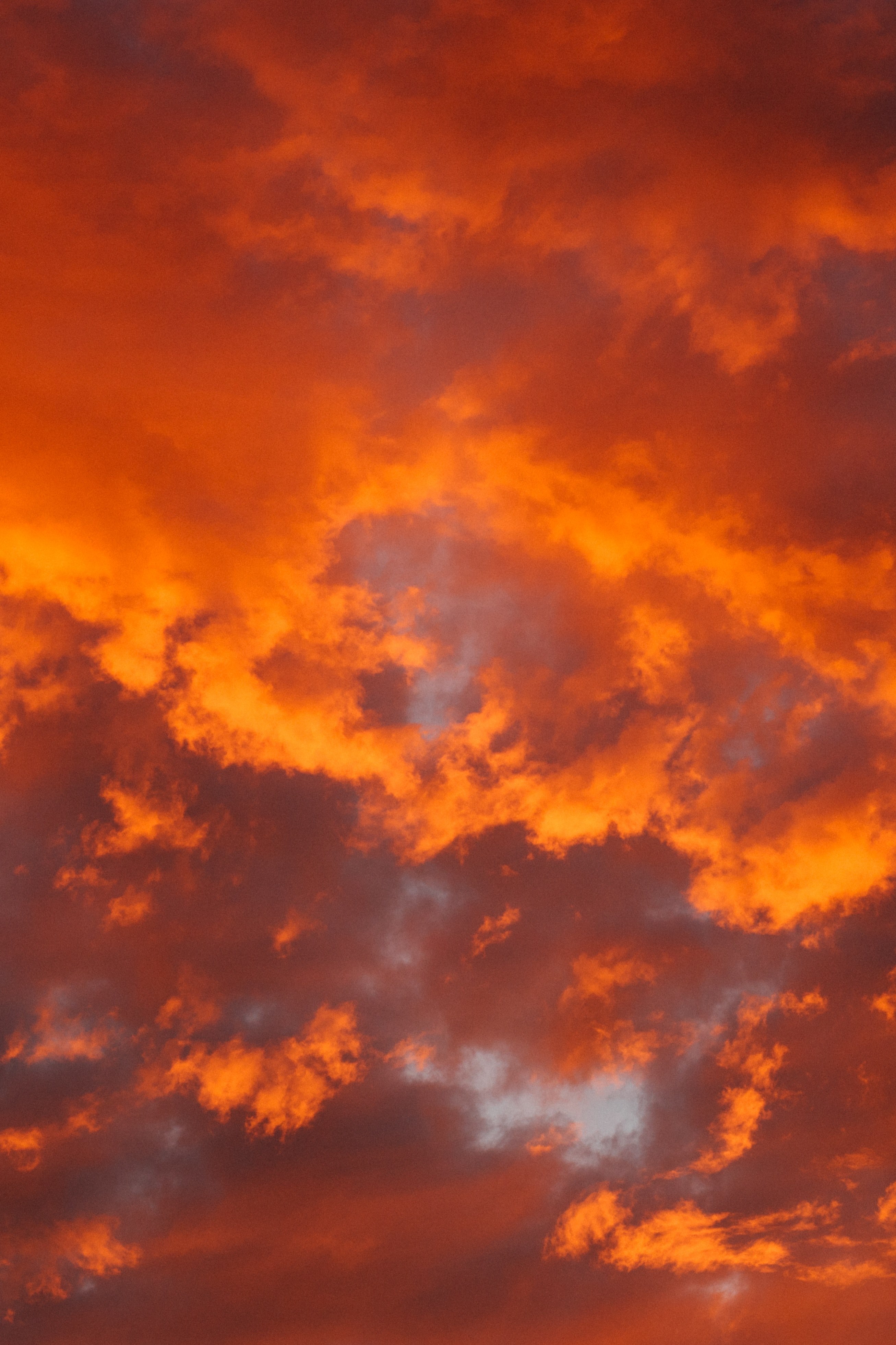 red orange weather and sun hd, 4k, Phone HD Wallpaper