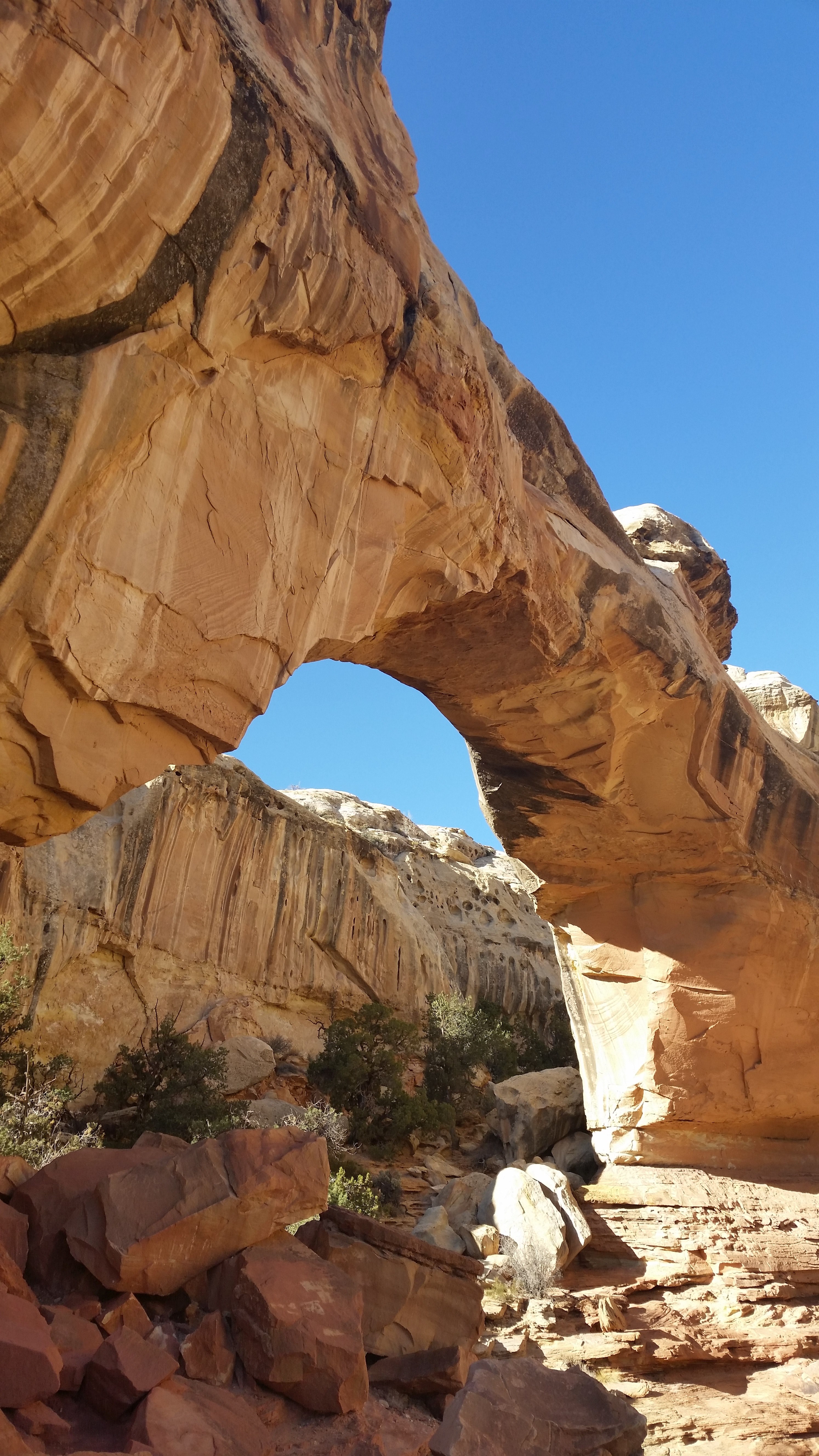 utah national park capital reef and arch hd, 4k, Phone HD Wallpaper