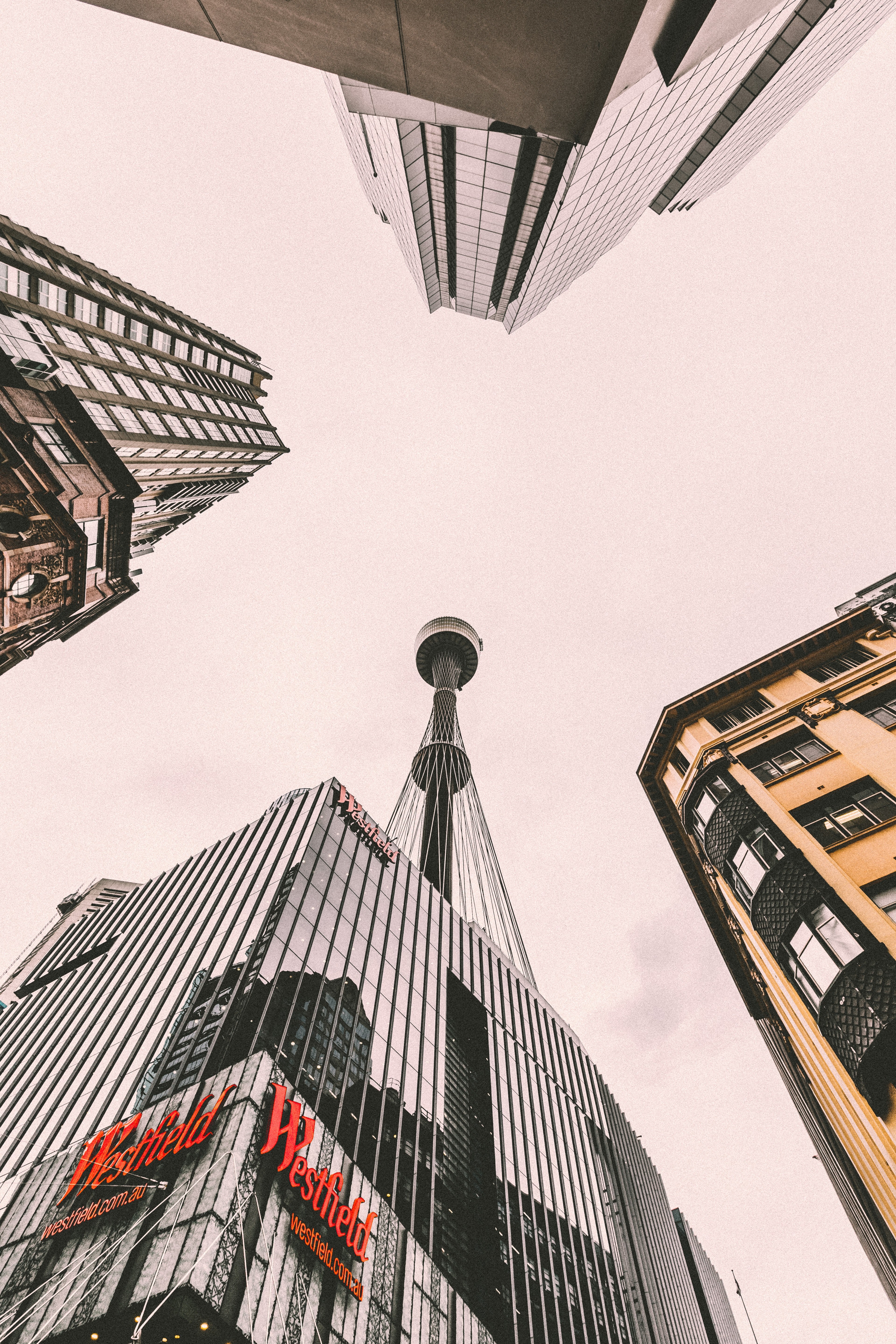 lookup hd, 4k, Phone HD Wallpaper