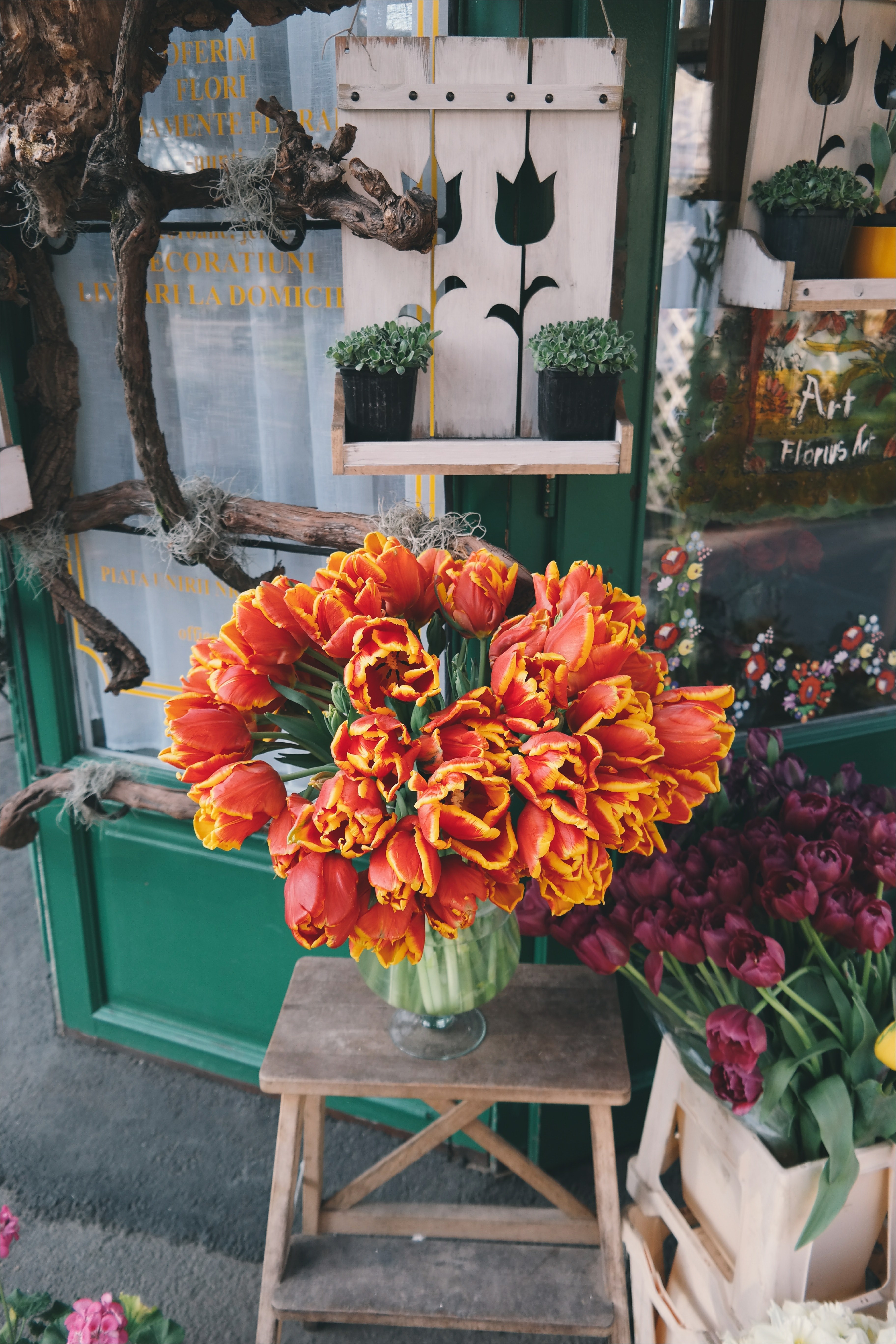 flower shop wood ornament purple tulip and fresh flower hd, 4k, Phone HD Wallpaper