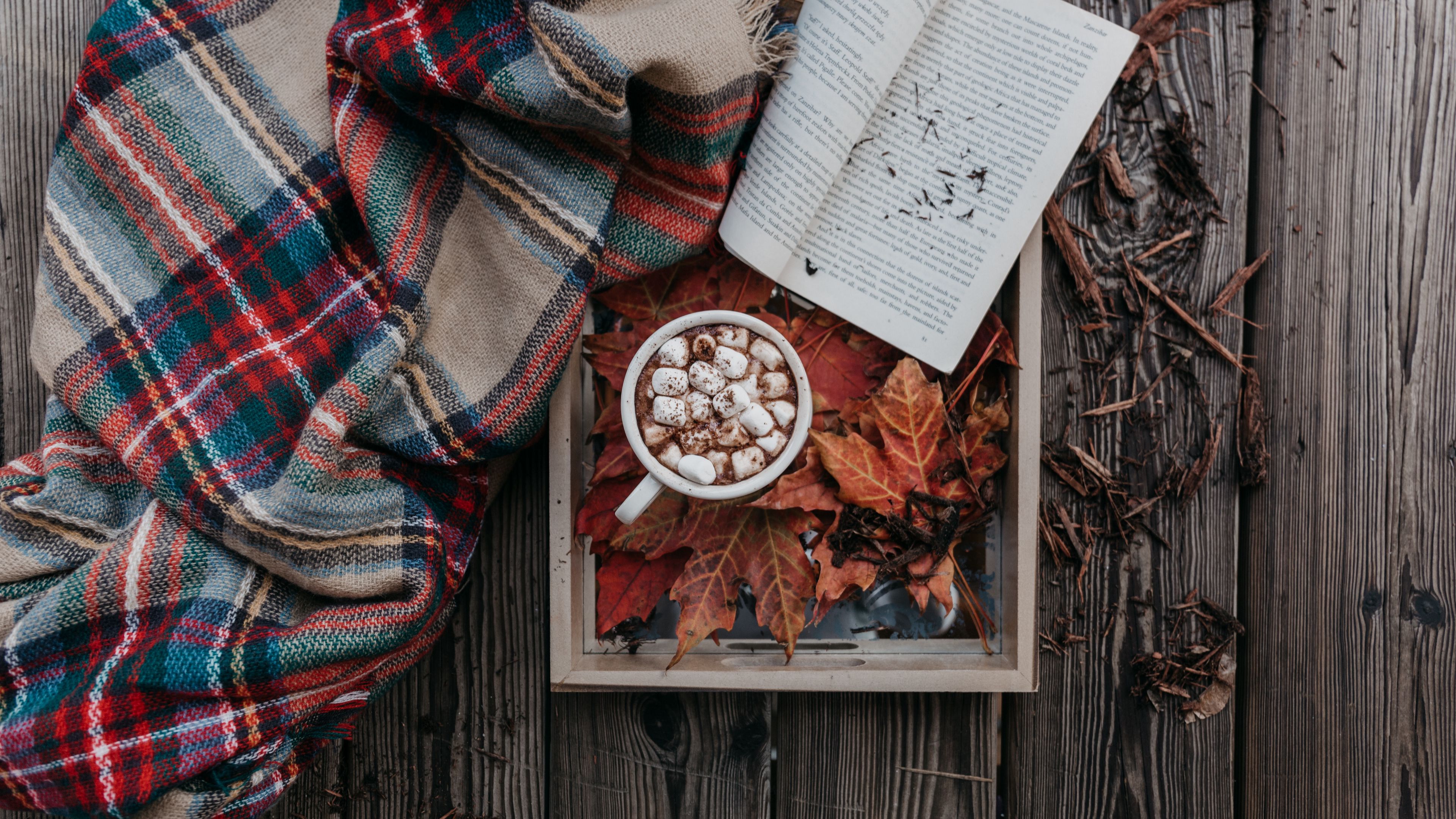 cocoa, marshmallow, autumn, plaid, book, 4k, HD Wallpaper
