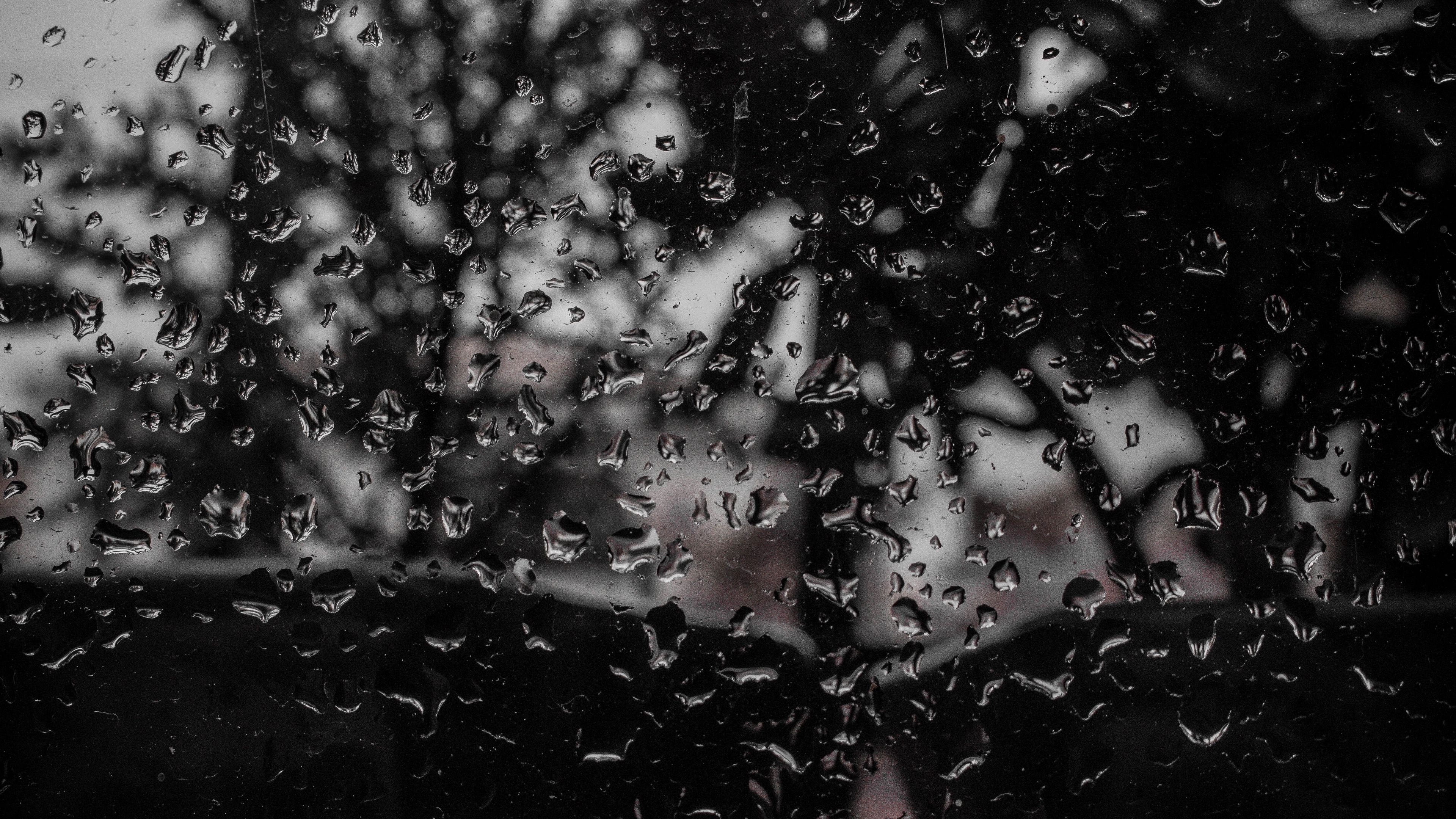 drops, surface, bw, 4k, HD Wallpaper