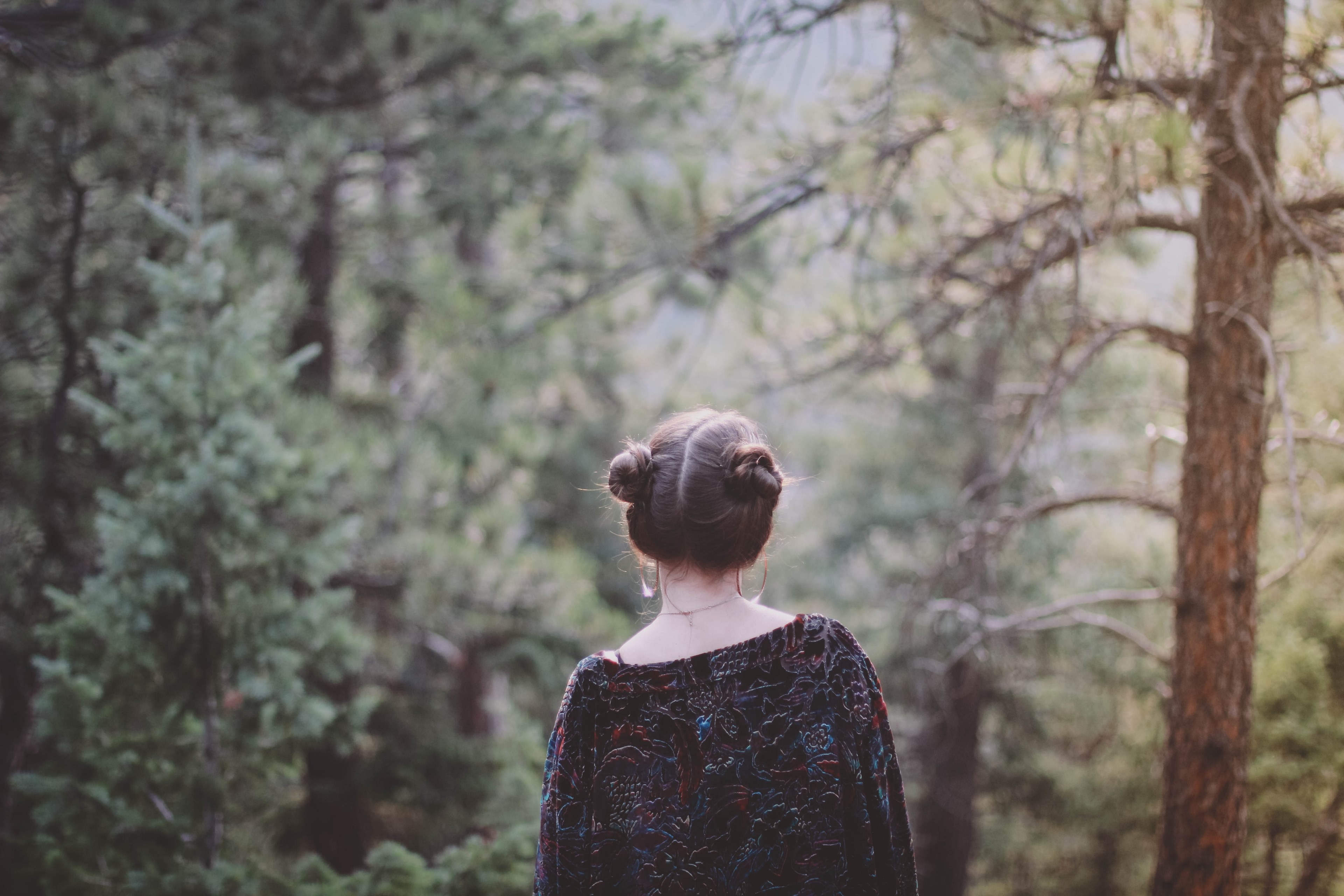 a woman with her hair up in buns walking through an evergreen forest, woman in the evergreen woods 4k, HD Wallpaper