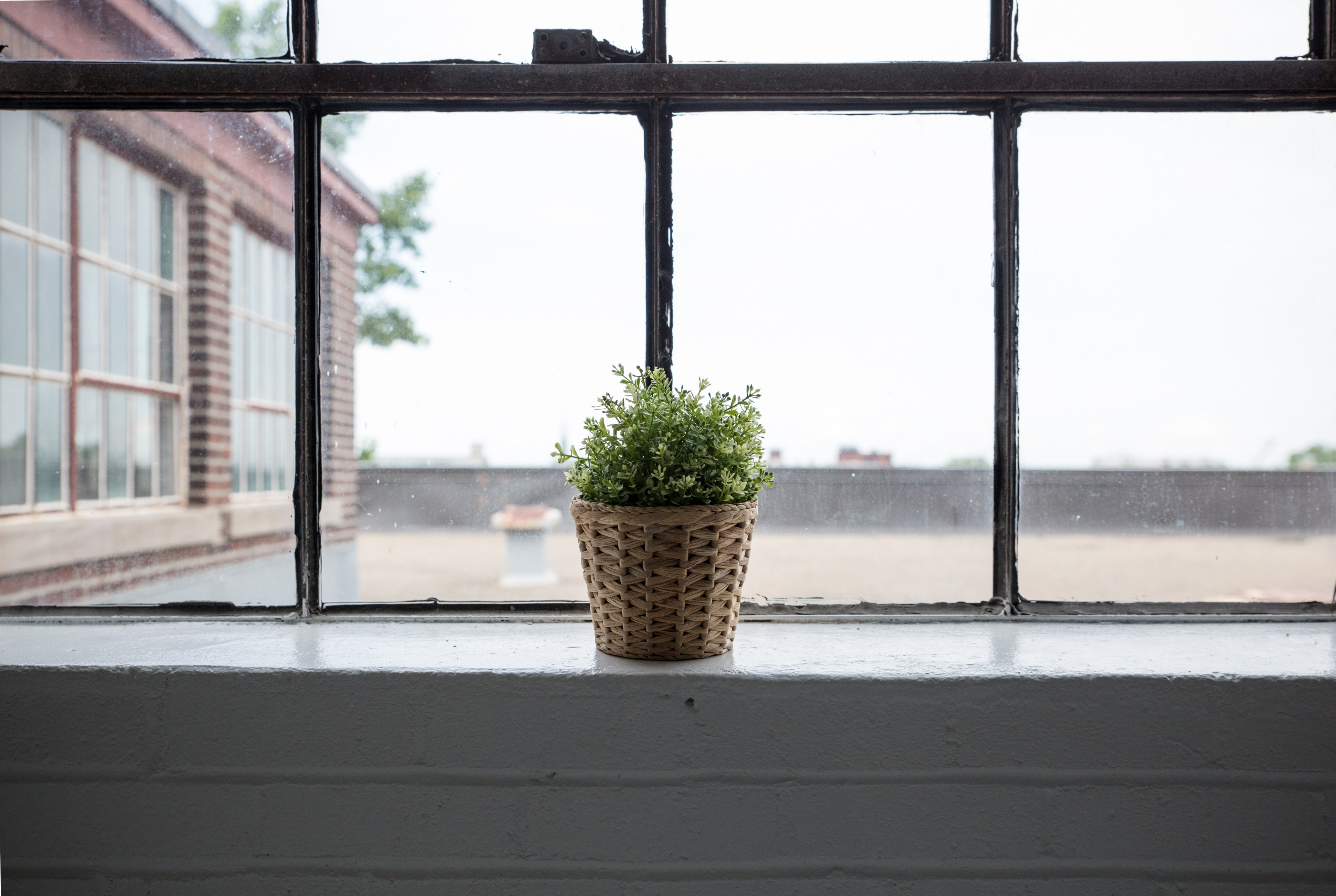small green potted plant in wicker basket on window sill with large window during daytime, wicker plant and big window 4k, HD Wallpaper