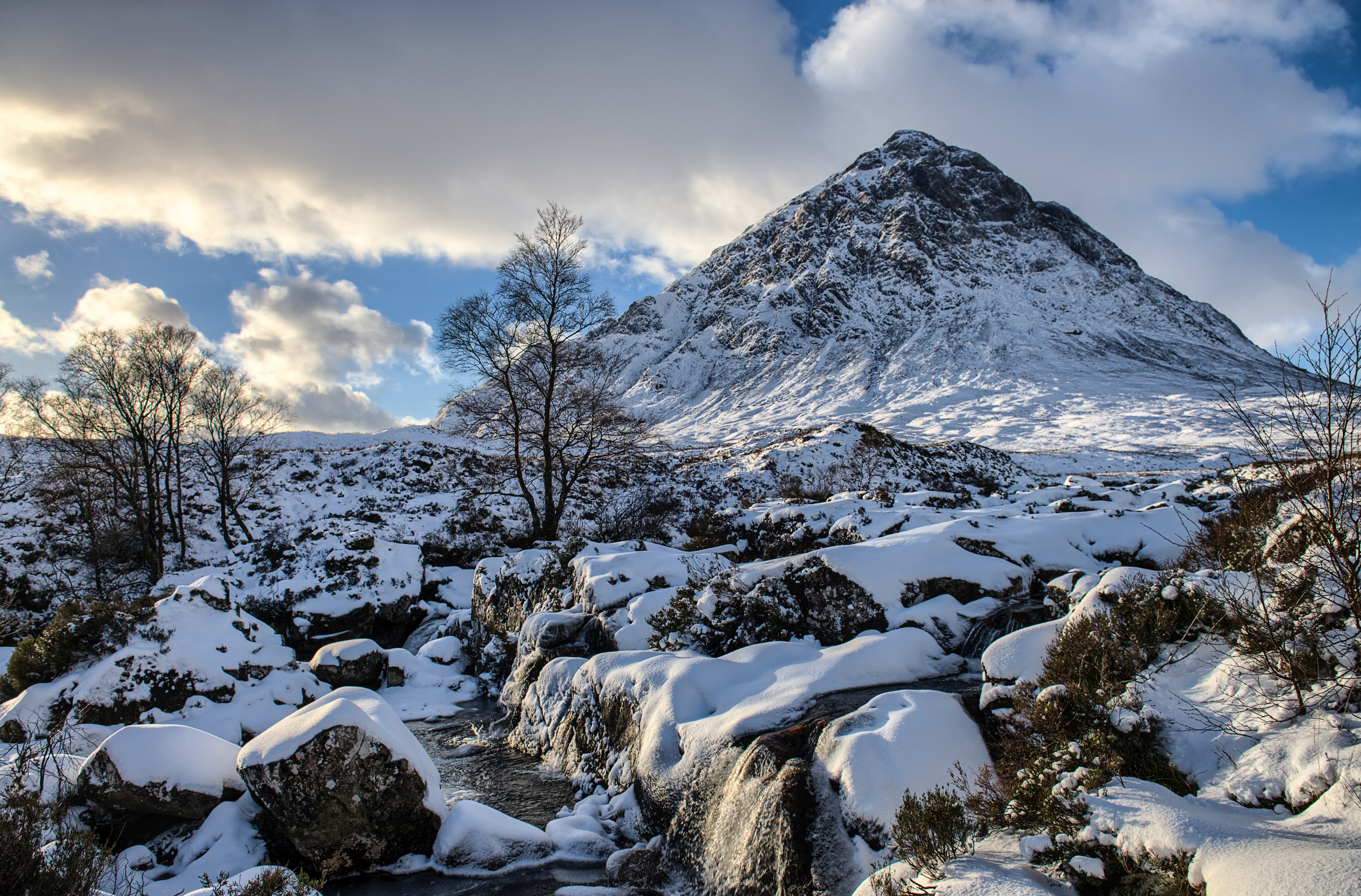 rock tree outdoor and cloud 4k, HD Wallpaper