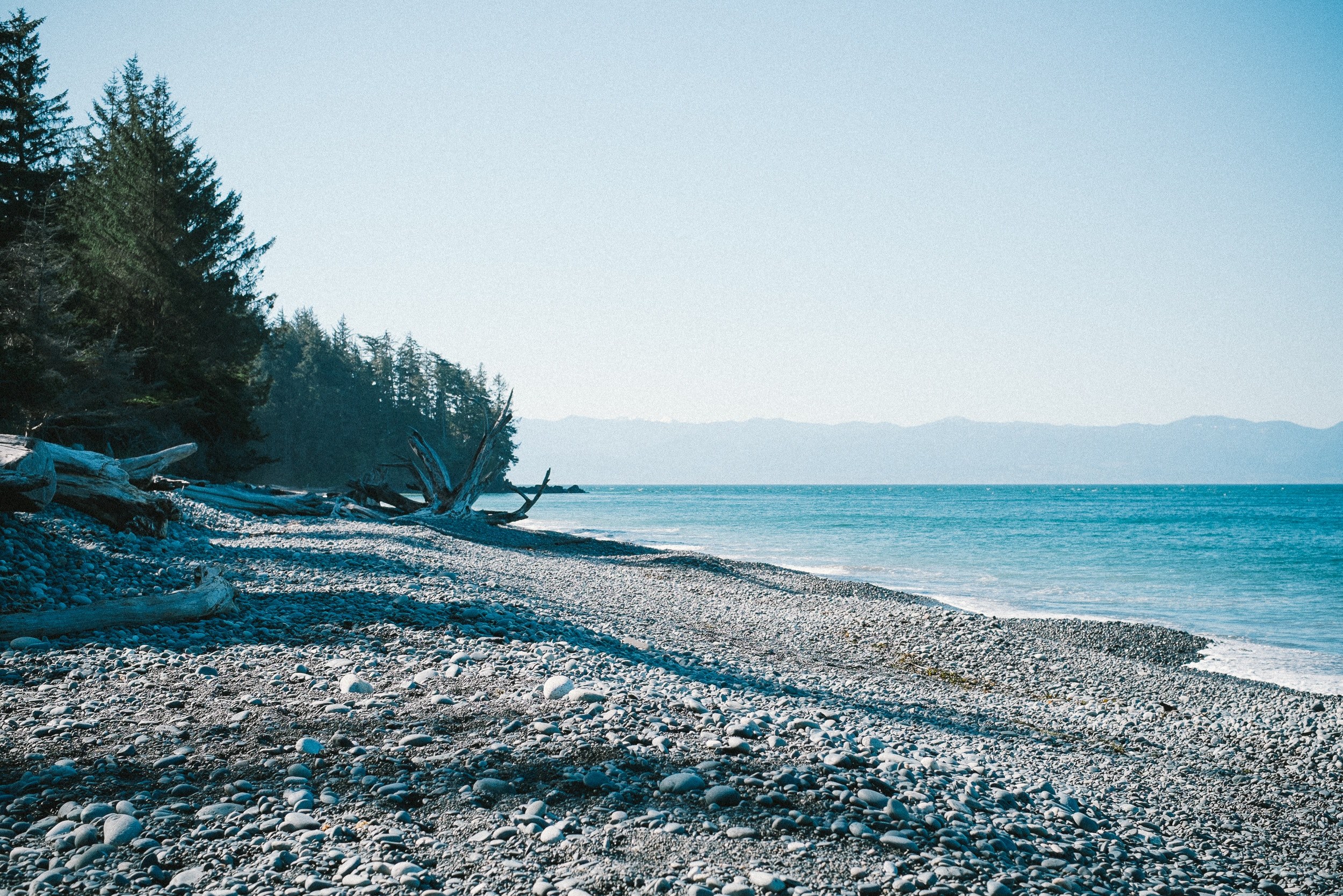 a white pebble beach next to an evergreen forest by azure water, white pebble beach 4k, HD Wallpaper
