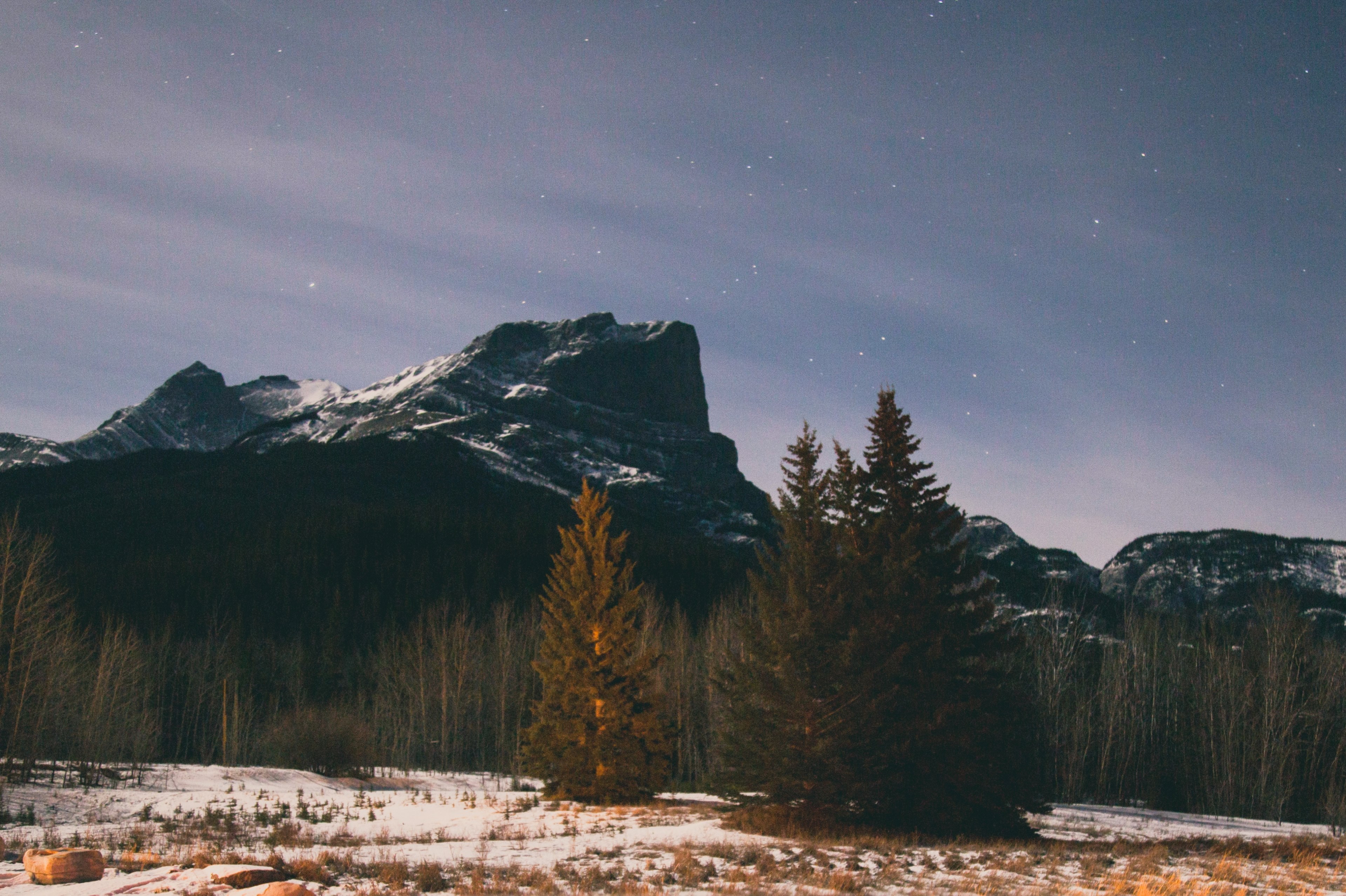 tree canadian park and national 4k, HD Wallpaper