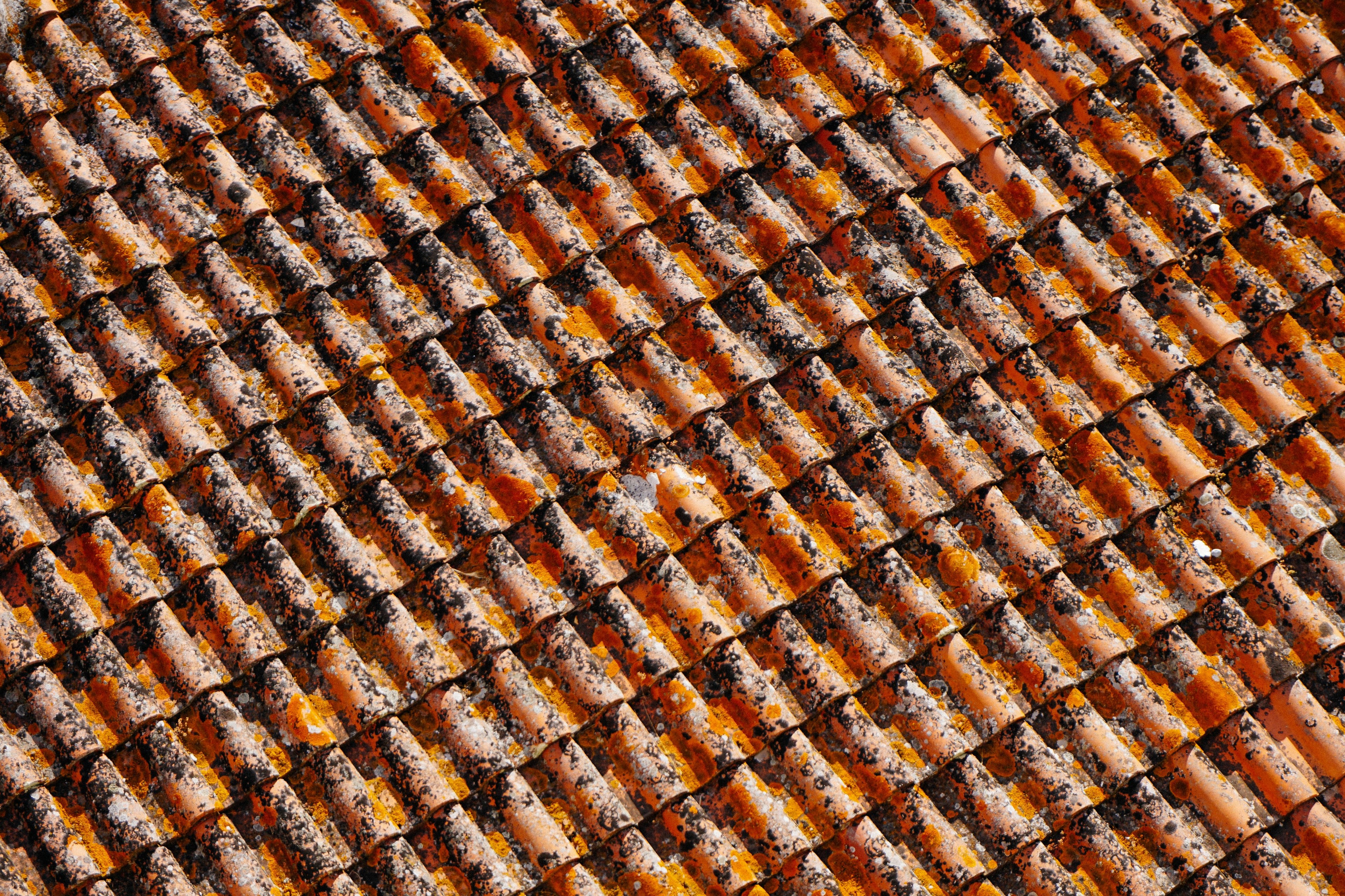 old terracotta clay tile in vertical rows on a house roof, terracotta clay tile 4k, HD Wallpaper