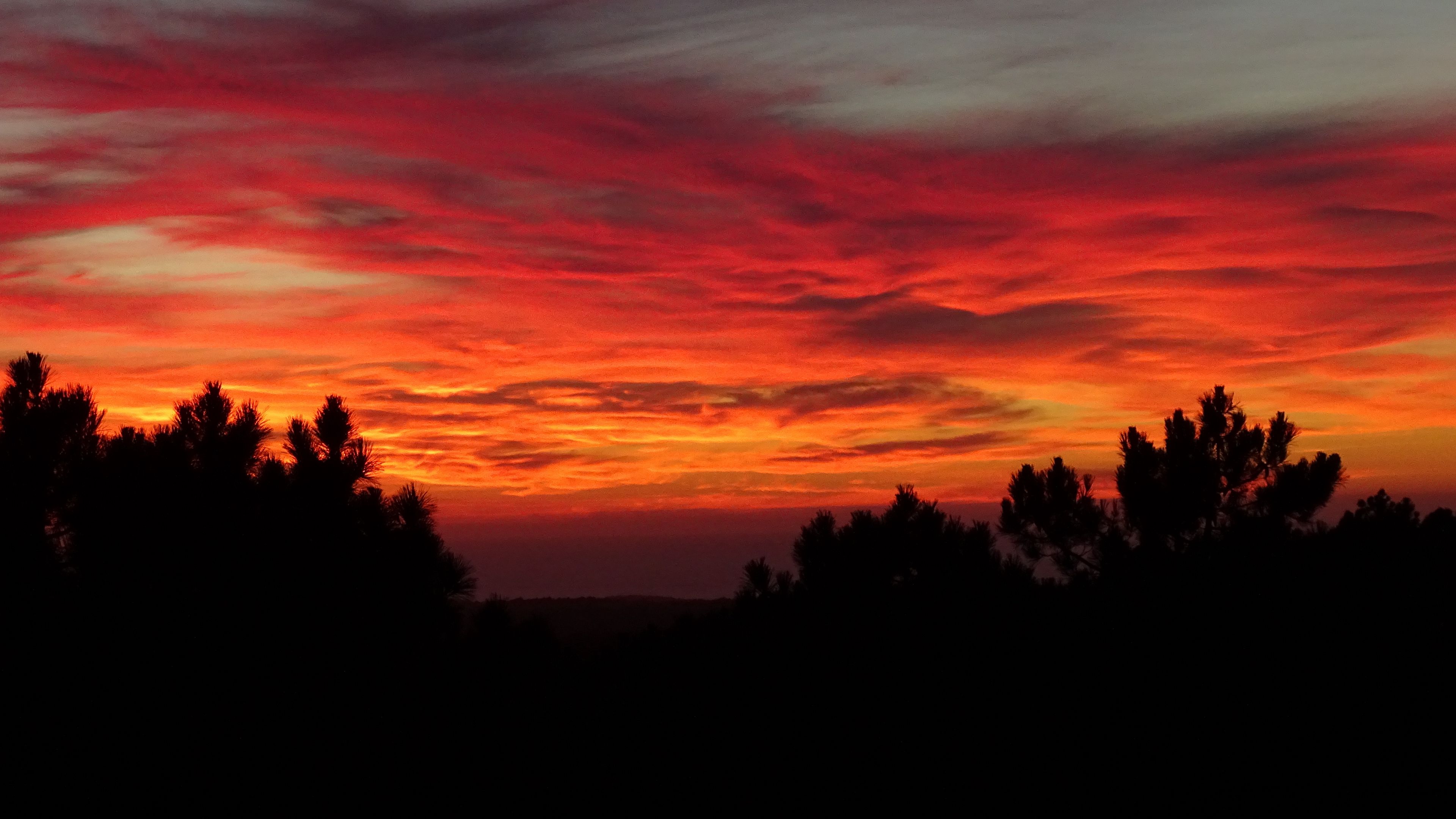 sunset, trees, sky, clouds, 4k, HD Wallpaper