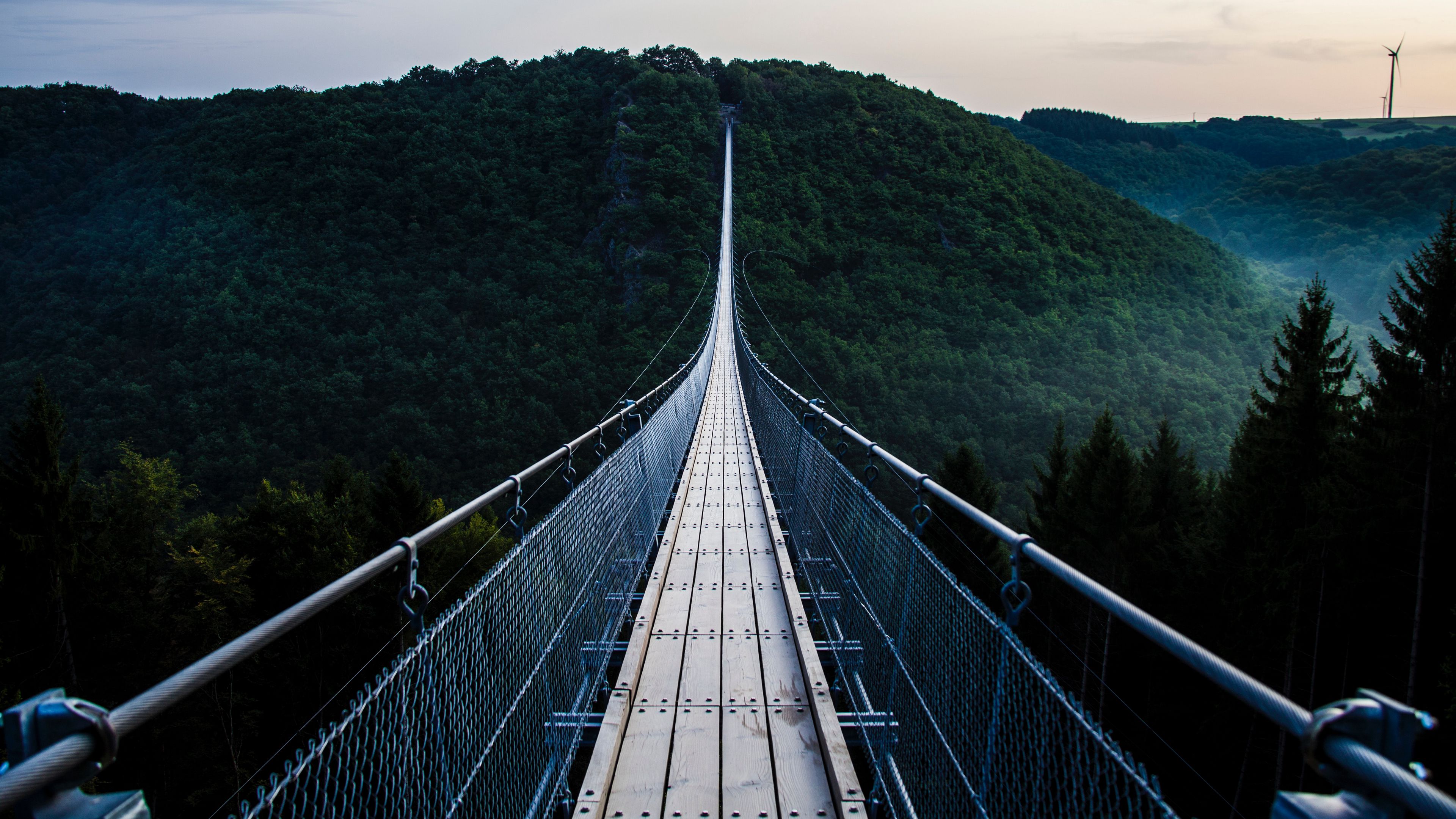 bridge, trees, hanging, 4k, HD Wallpaper