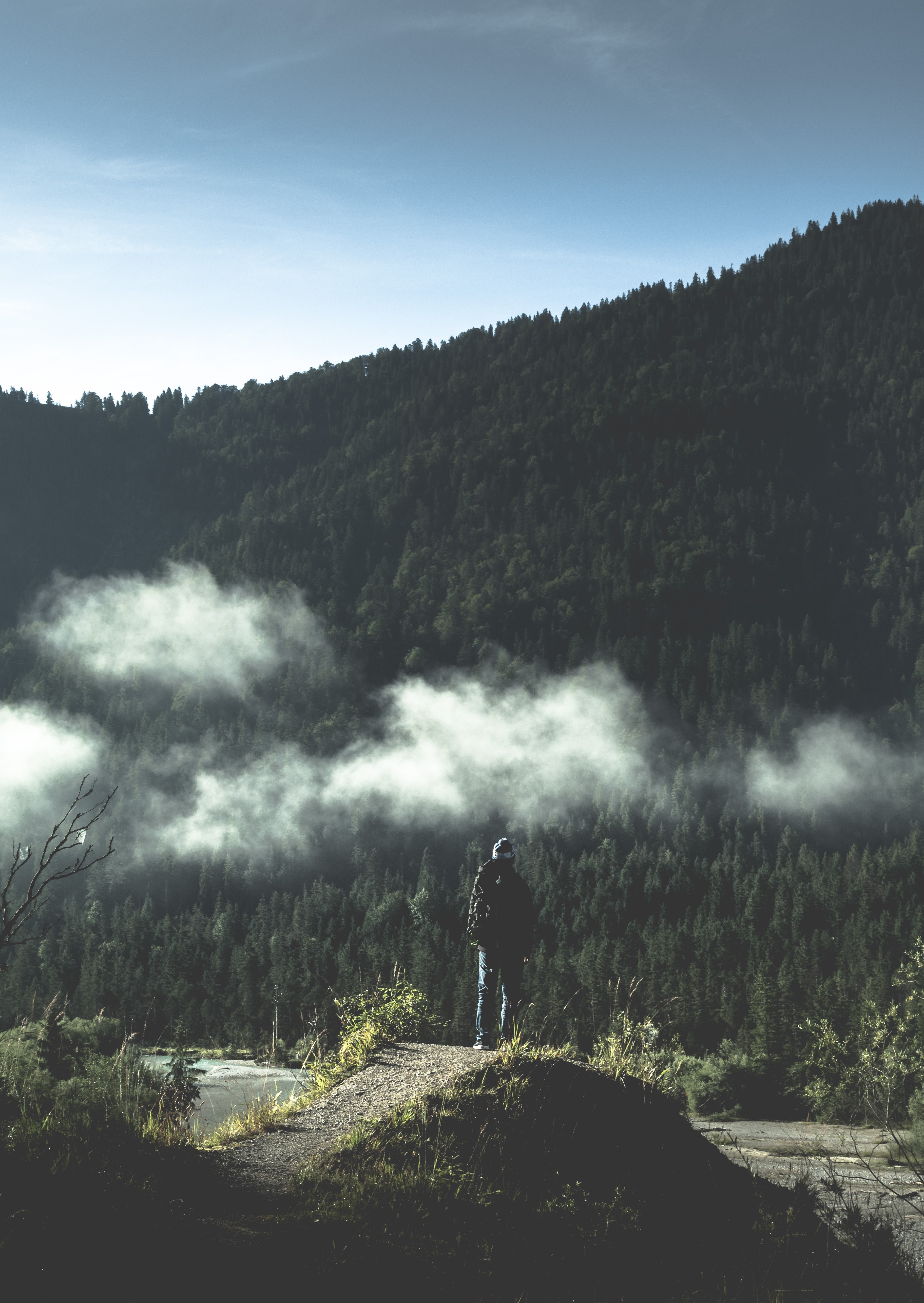 a person standing on a rock and looking into the misty sky in vorderriss, lost in the bavarian wilderness 4k, Phone HD Wallpaper