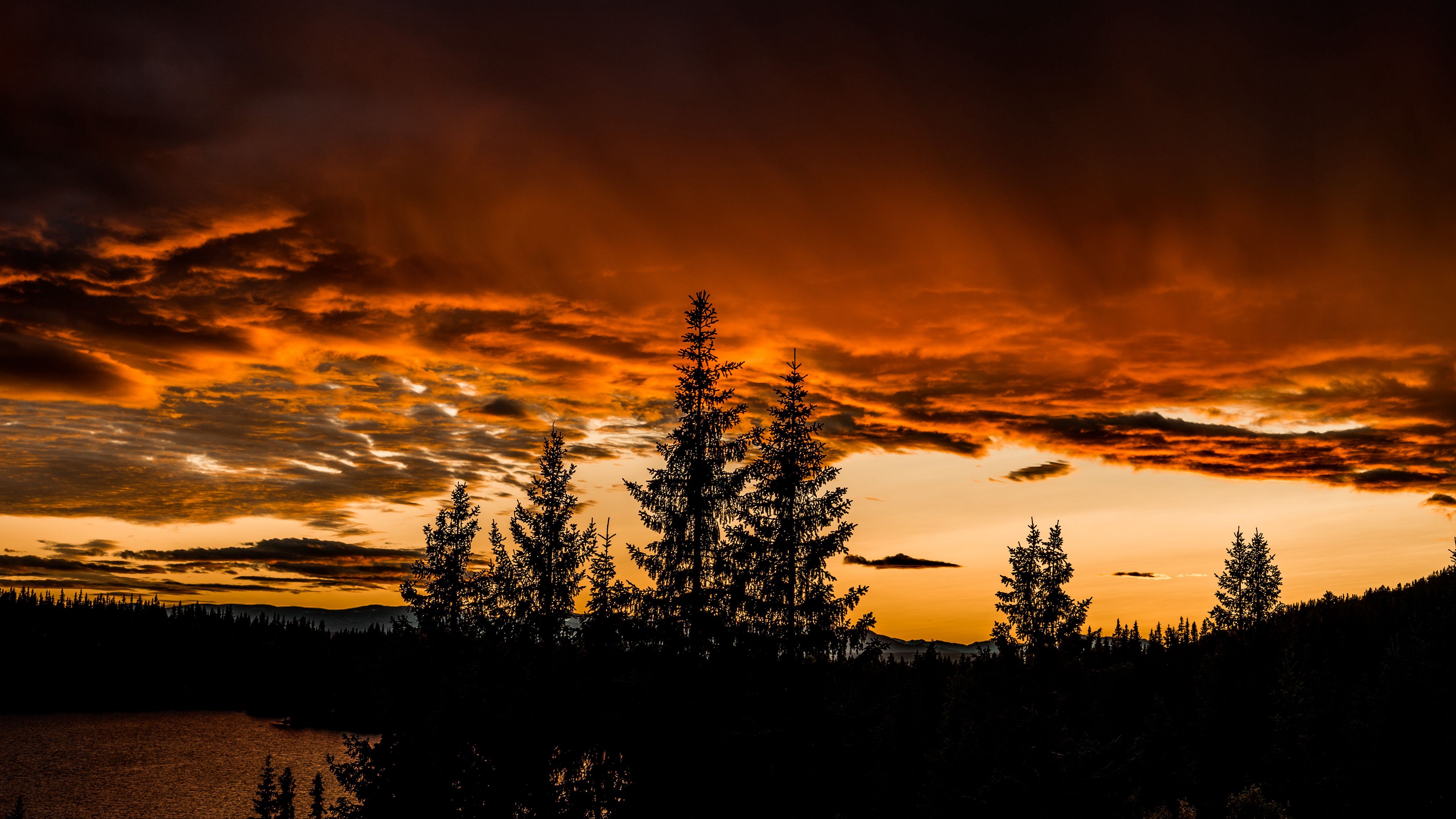 trees, sunset, sky, 4k, HD Wallpaper