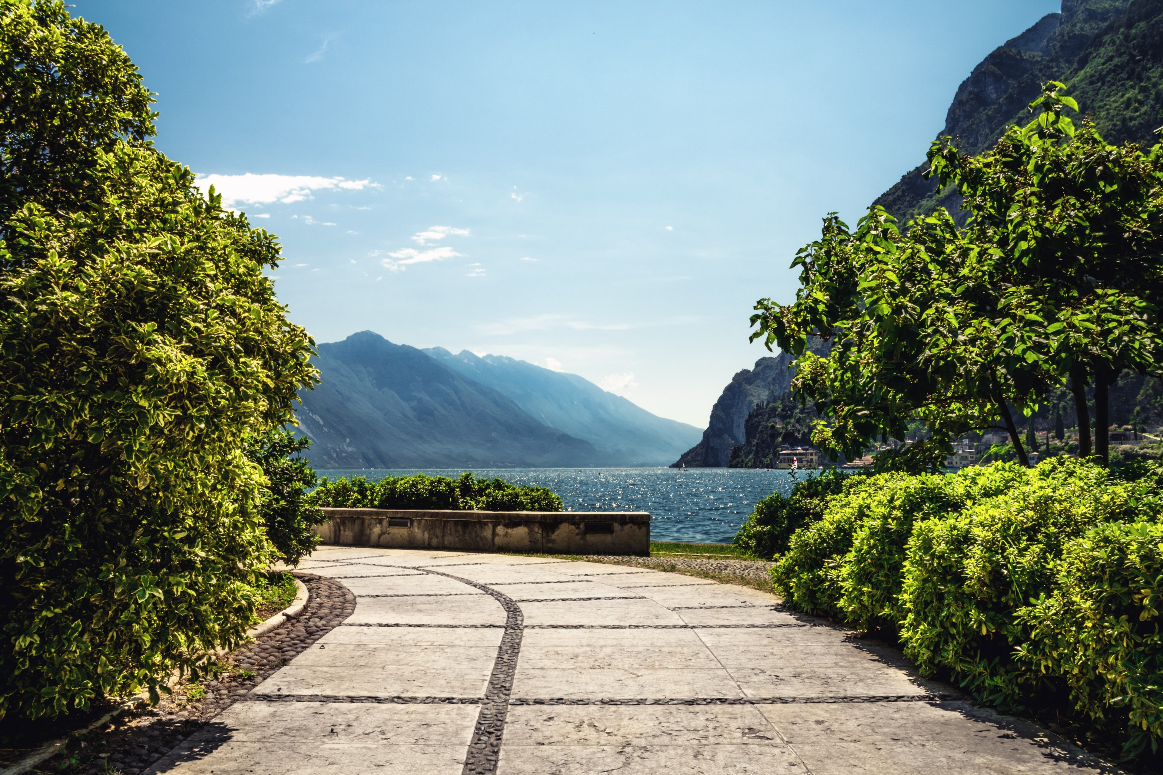 pentax tree bush and way 4k, HD Wallpaper
